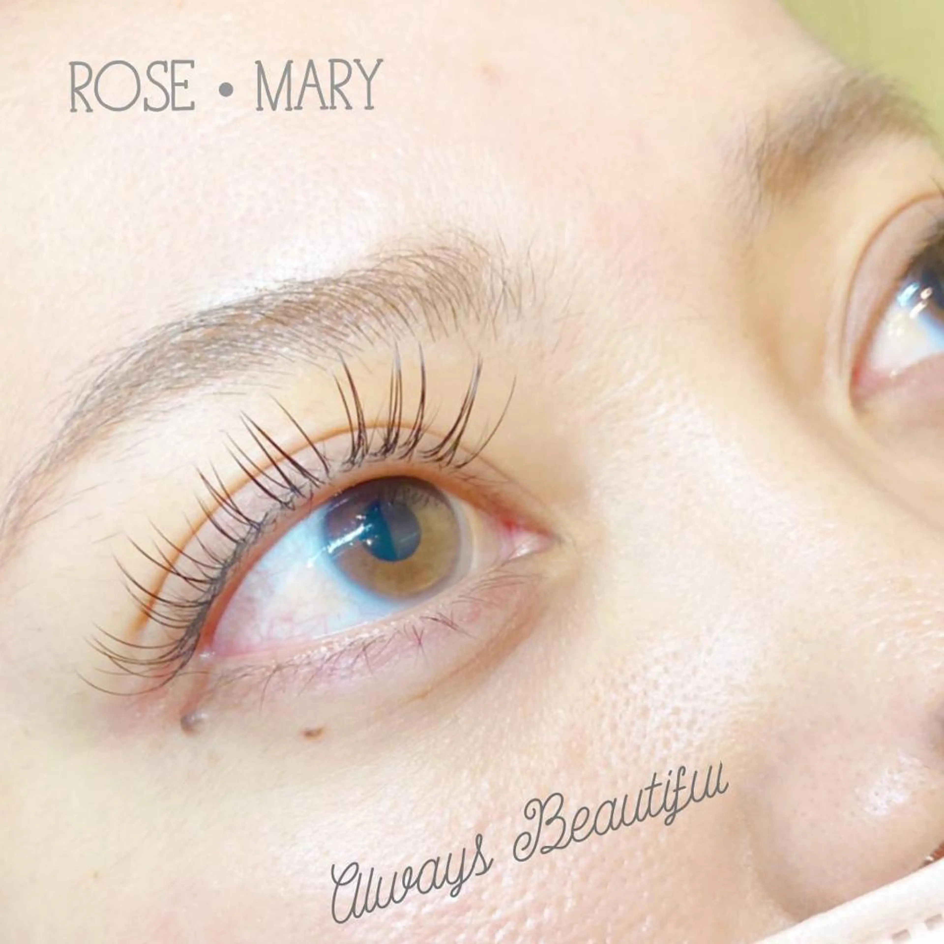 フラットマットラッシュ🥀100本の写真