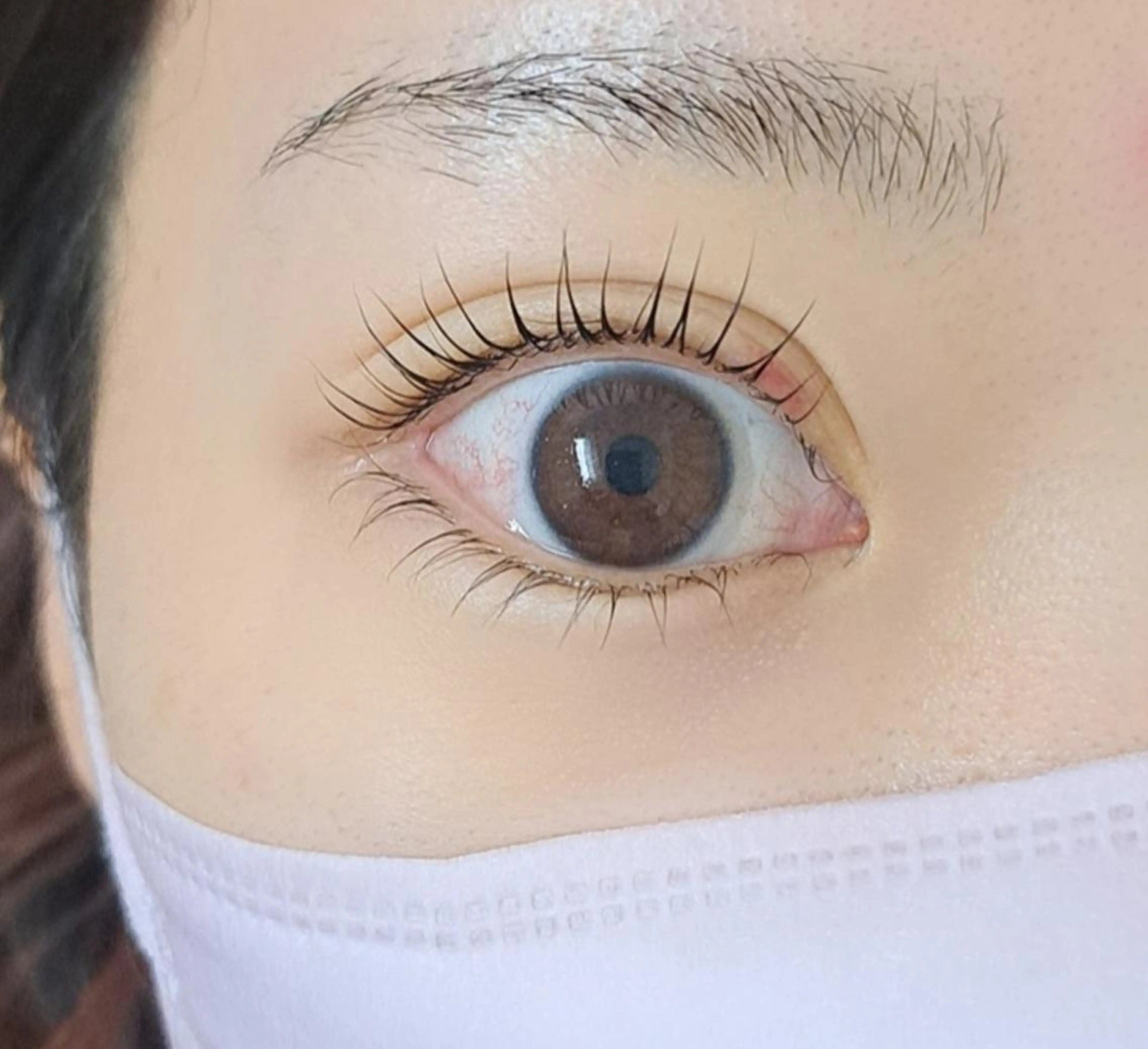 【1日1名様限定】まつげパーマ上下👀✨️の写真