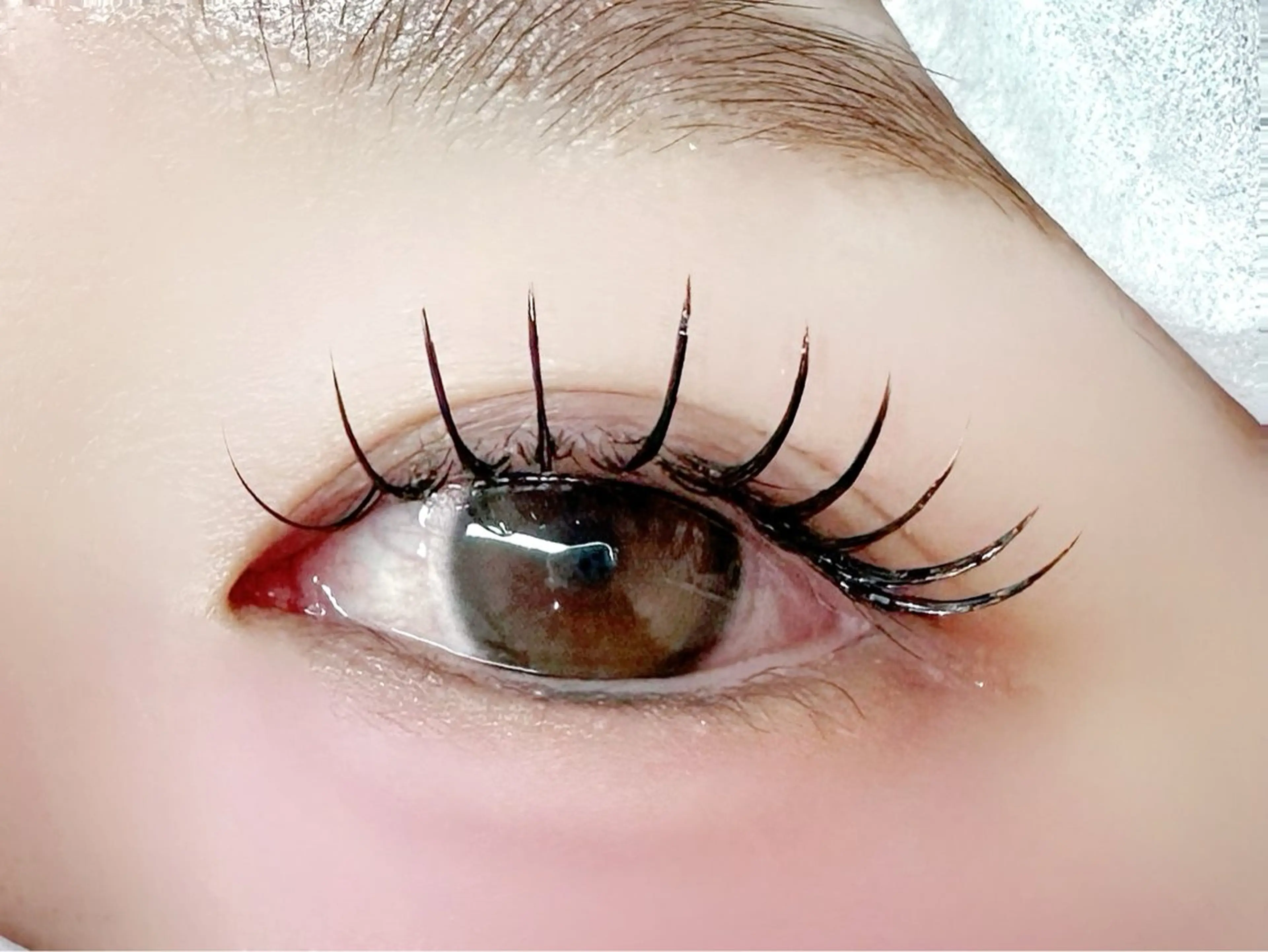 マツエク・マツパ マツエク EYELA小針 小澤のマツエク・マツパデザイン