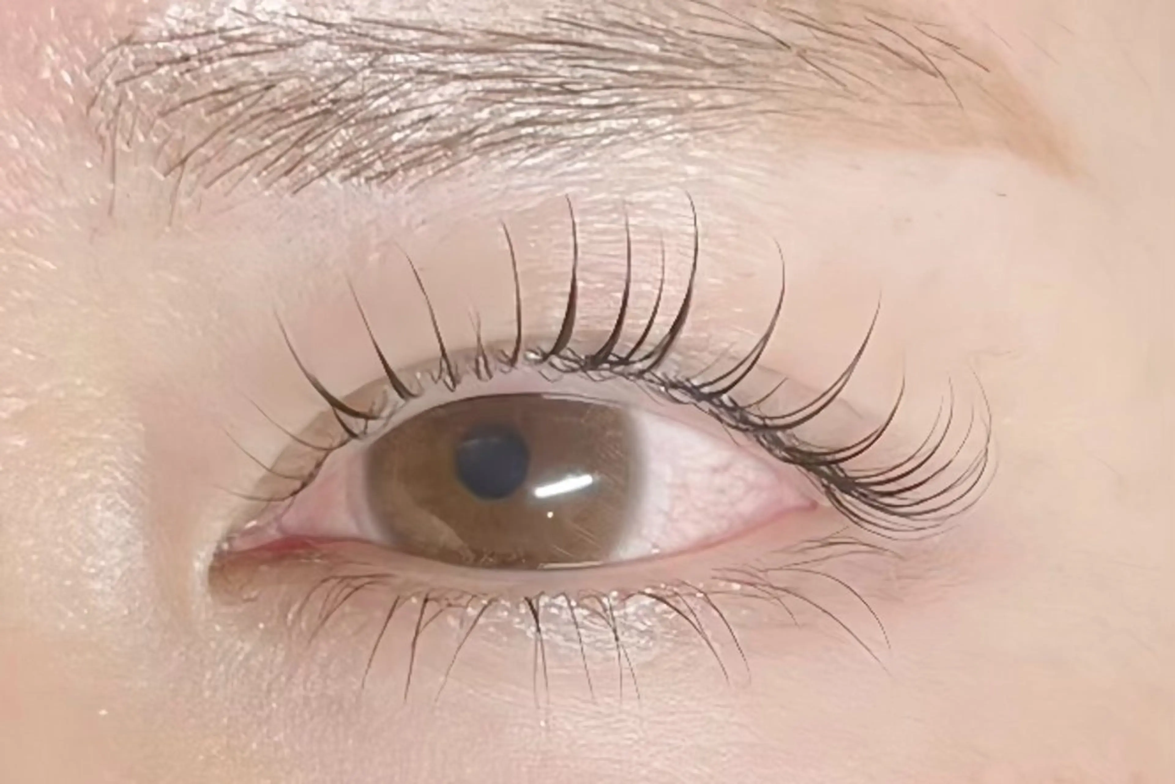 ❤︎上下まつ毛パーマ❤︎トリートメント&コーティング付の写真