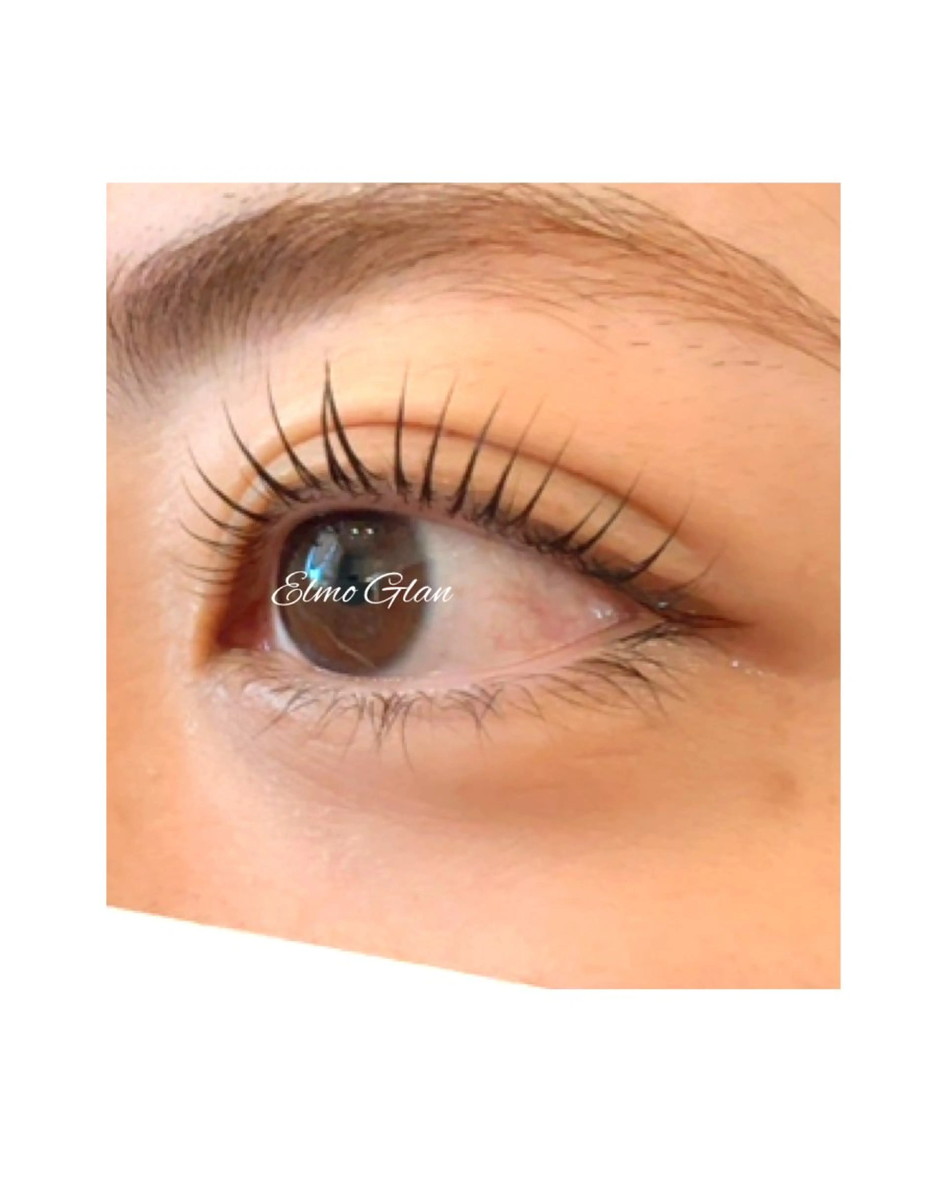 マツエク・マツパ マツパ Elmo Glan サカモトのマツエク・マツパデザイン