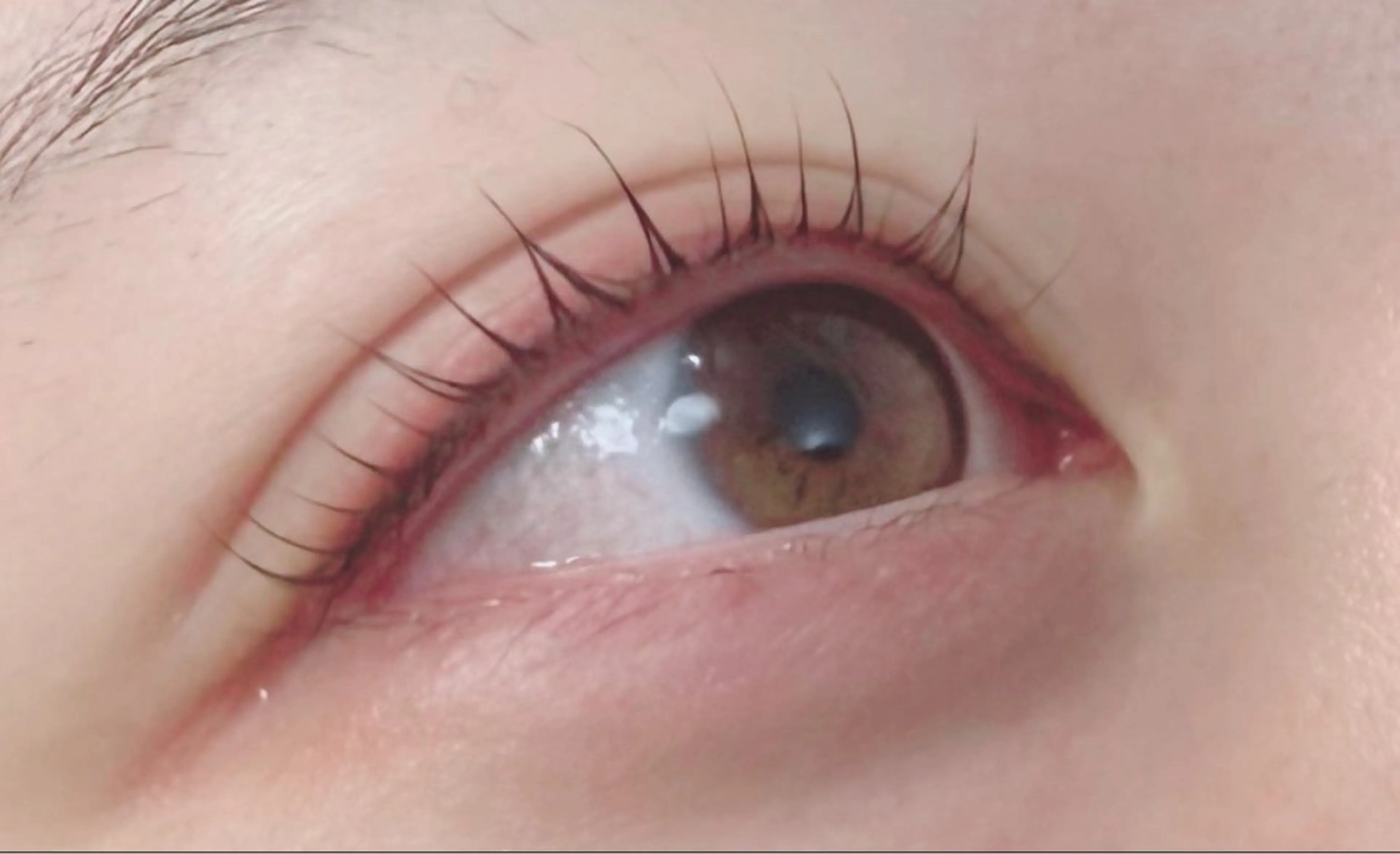 マツエク・マツパ ココラッシュ 町屋店のマツエク・マツパデザイン