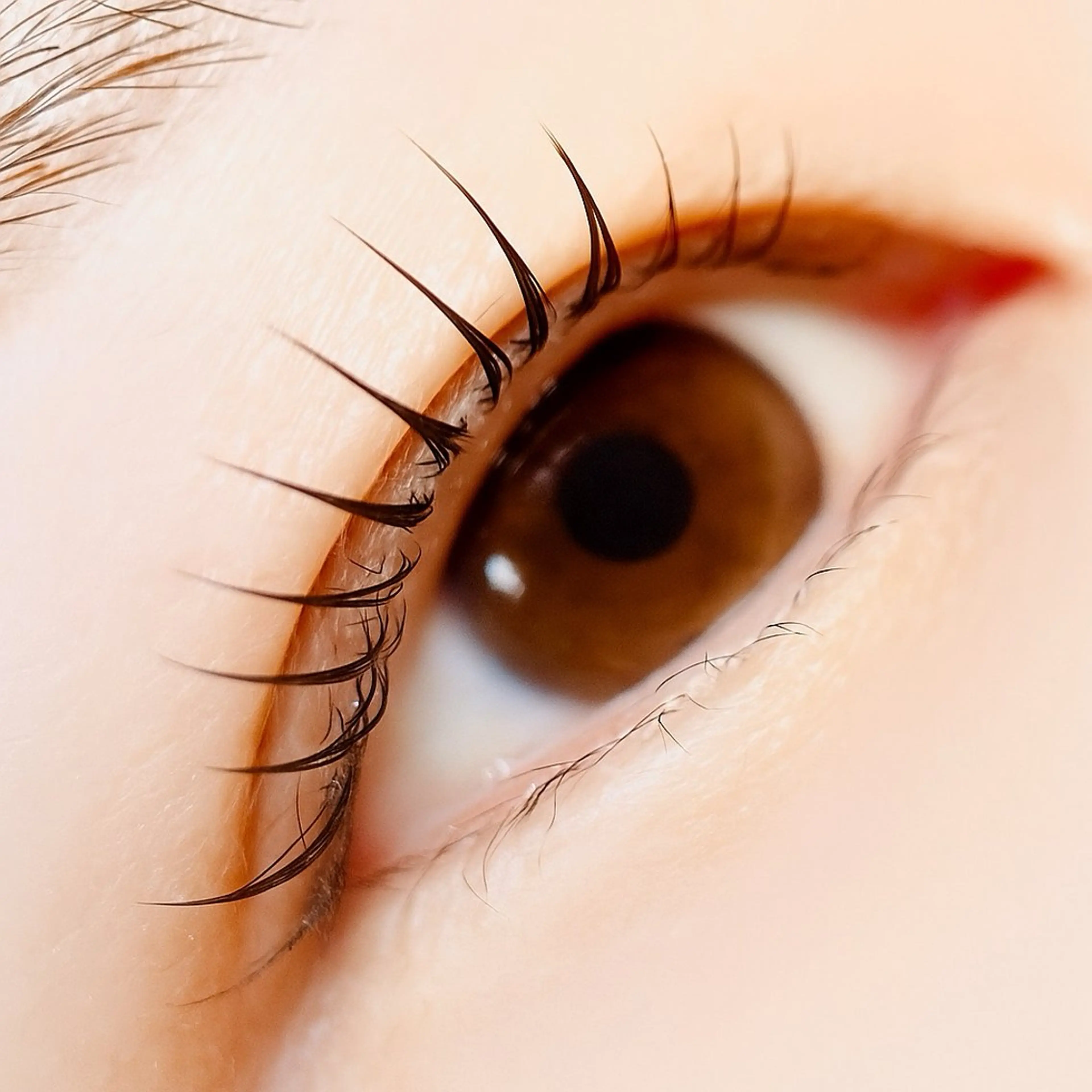 マツエク・マツパ ラジュルネ nail ＆ eyeのマツエク・マツパデザイン