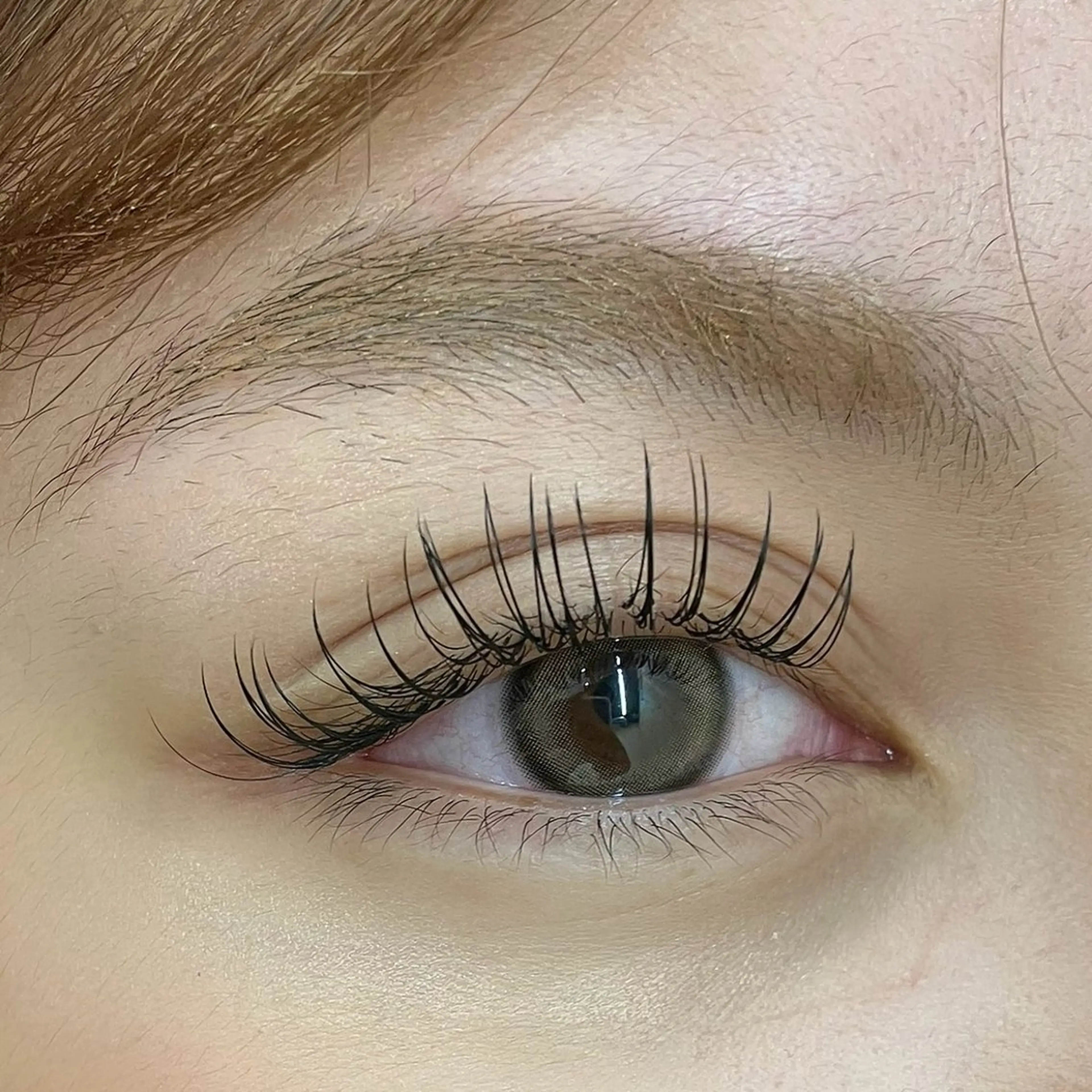 マツエク・マツパ to/me 大宮店 みなとの眉毛・アイブロウイメージ