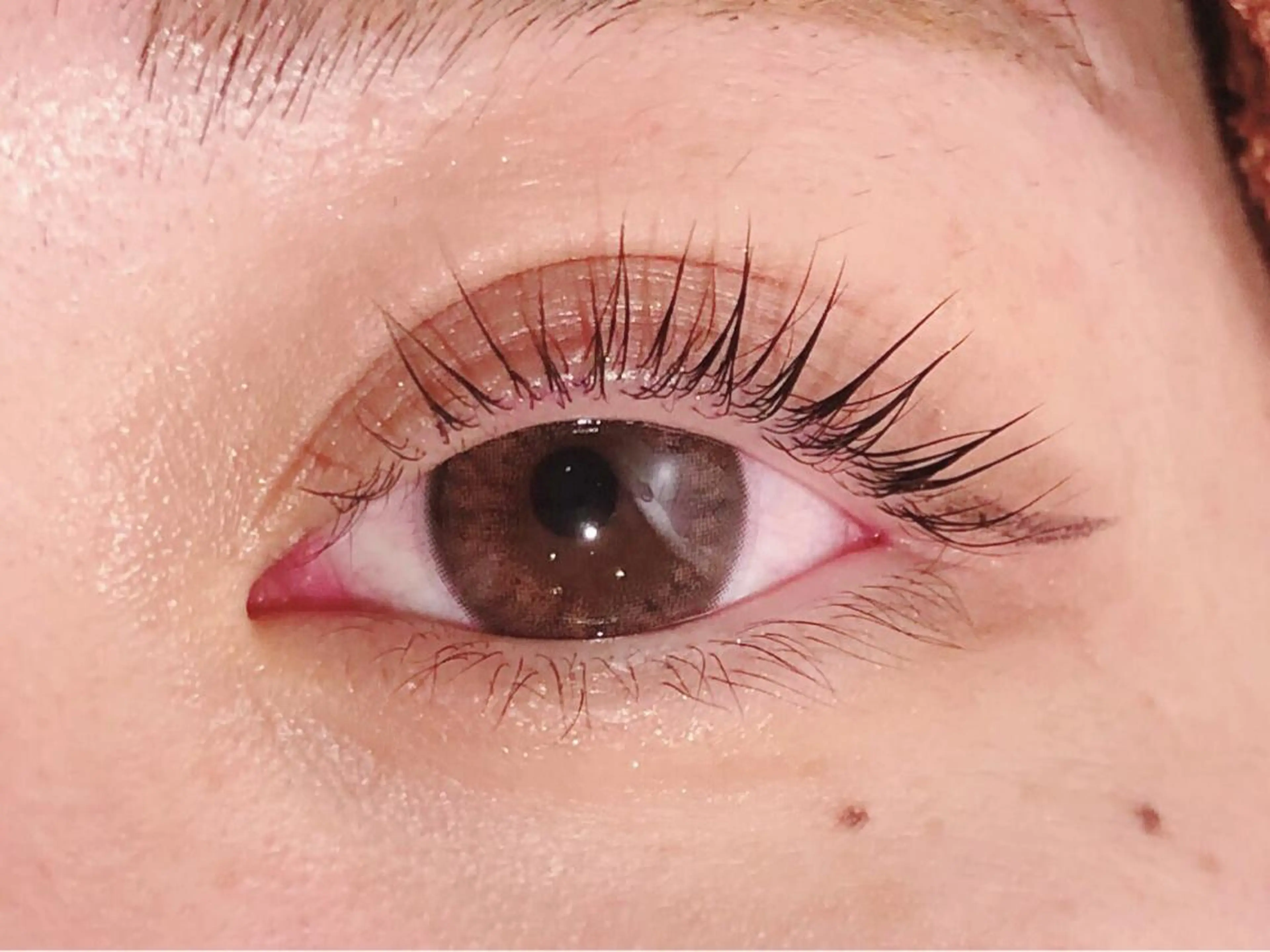 🌟ケアトリートメントつき【まつパの写真