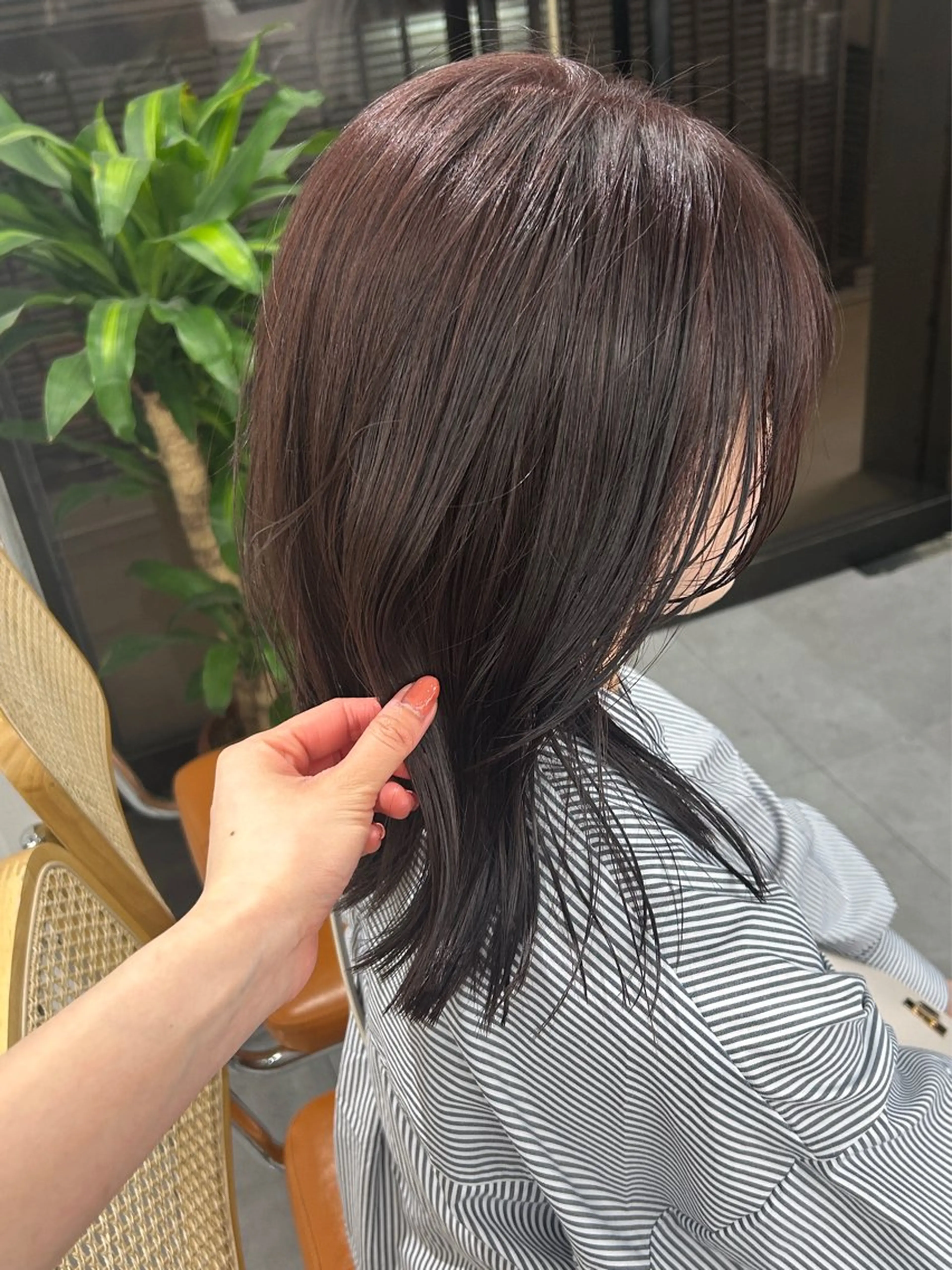 セミロング カラー レイヤーボブ/ 艶カラー/サナ🌼のヘアスタイル