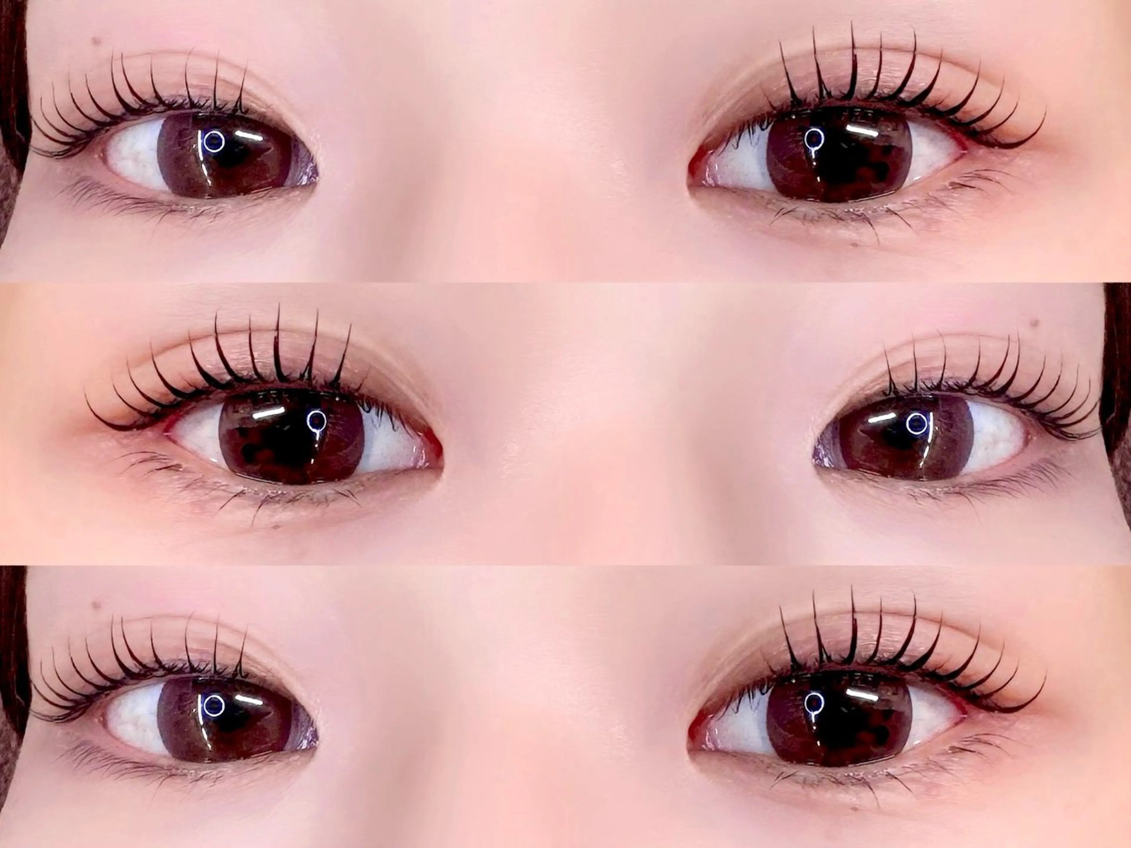 🪡最先端🪡韓国🖤🖤ブラックティントパーマ🖤🖤[マスカラ効果があるティントを使うまつ毛パーマ］の写真