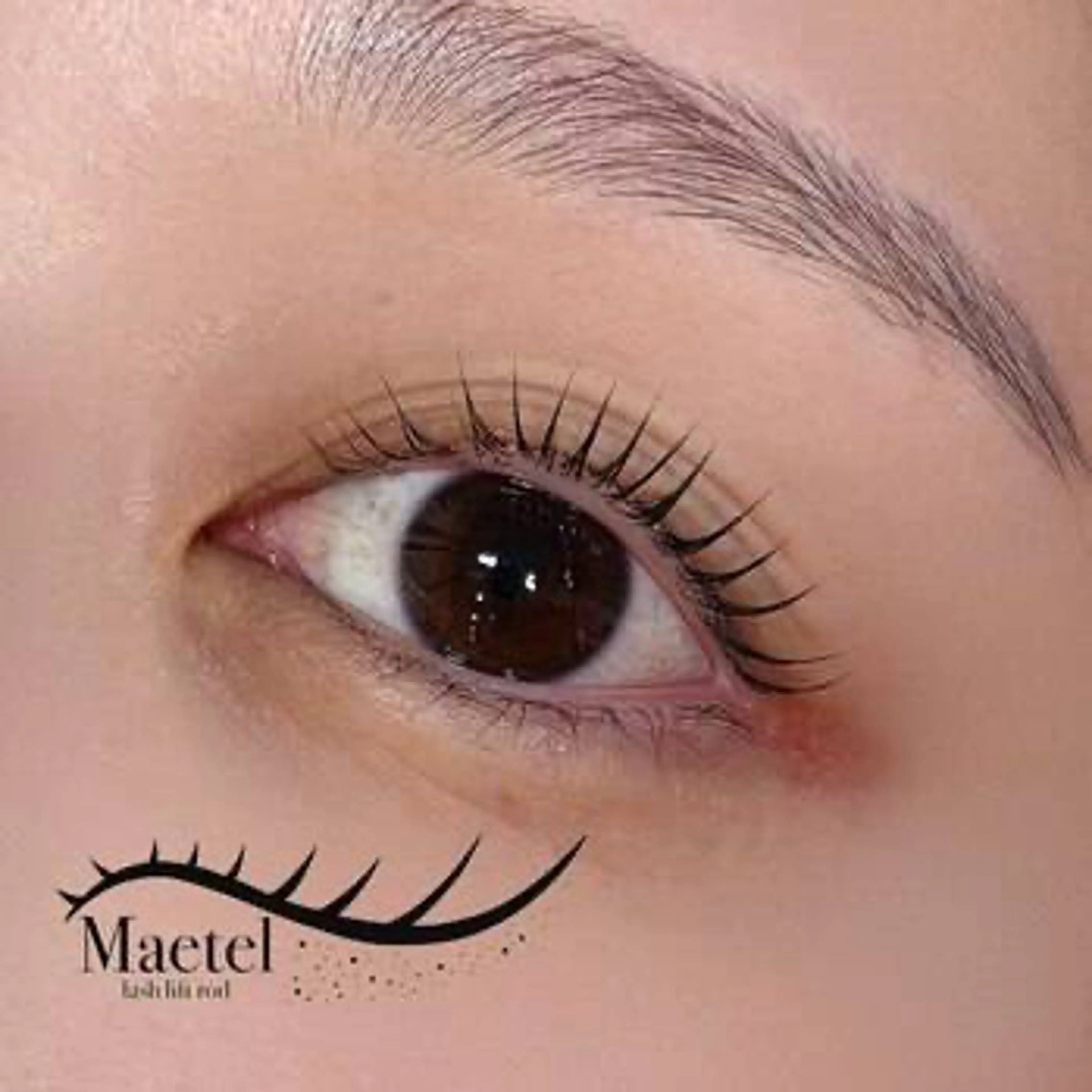 【まつ毛に優しいパーマ剤使用】まつ毛パーマ（メーテルリフト・根本立ち上げカール・全てのデザイン対応）の写真