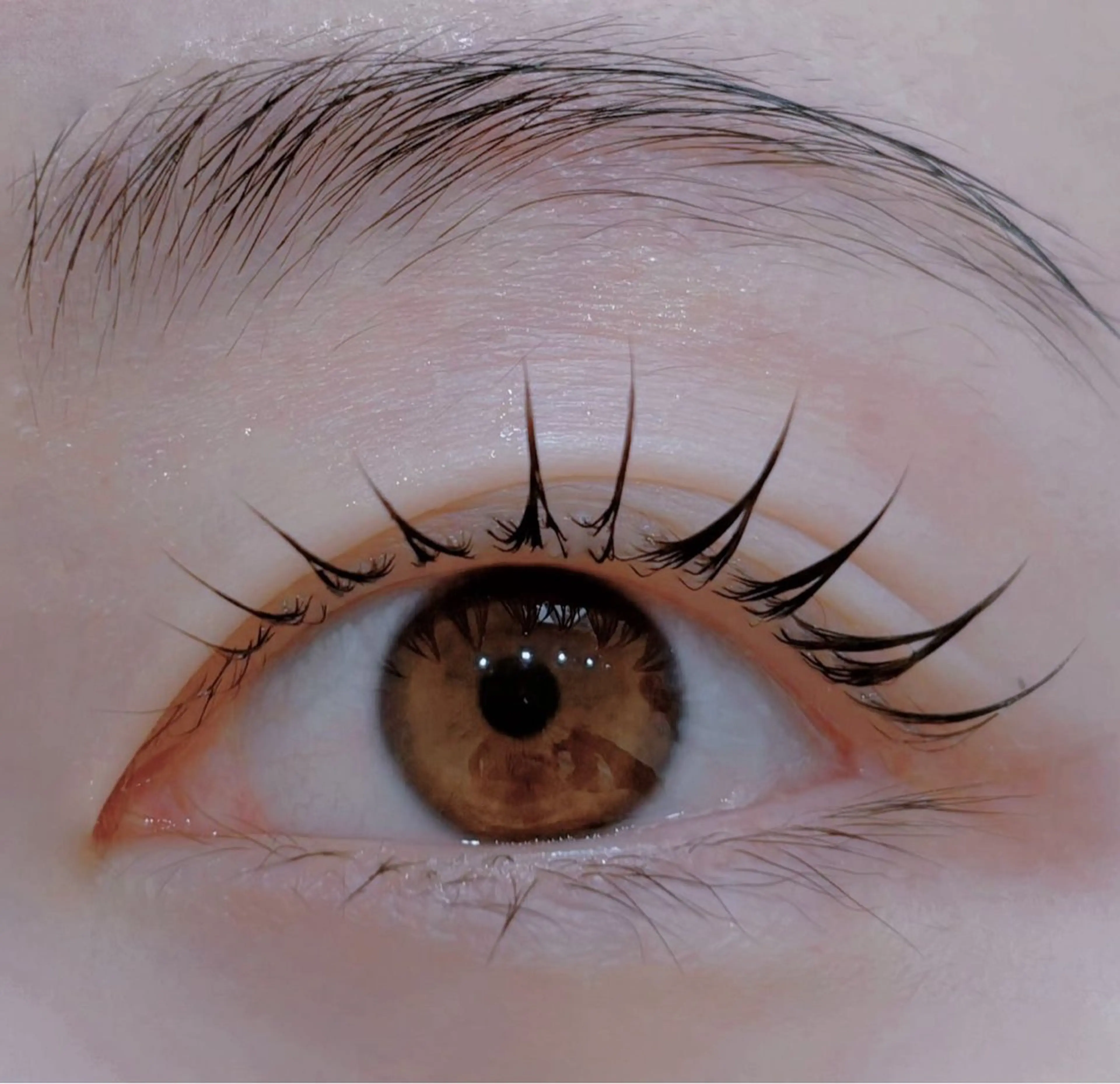 マツエク・マツパ EMA BEAUTY マツエクサロン池袋店のマツエク・マツパデザイン