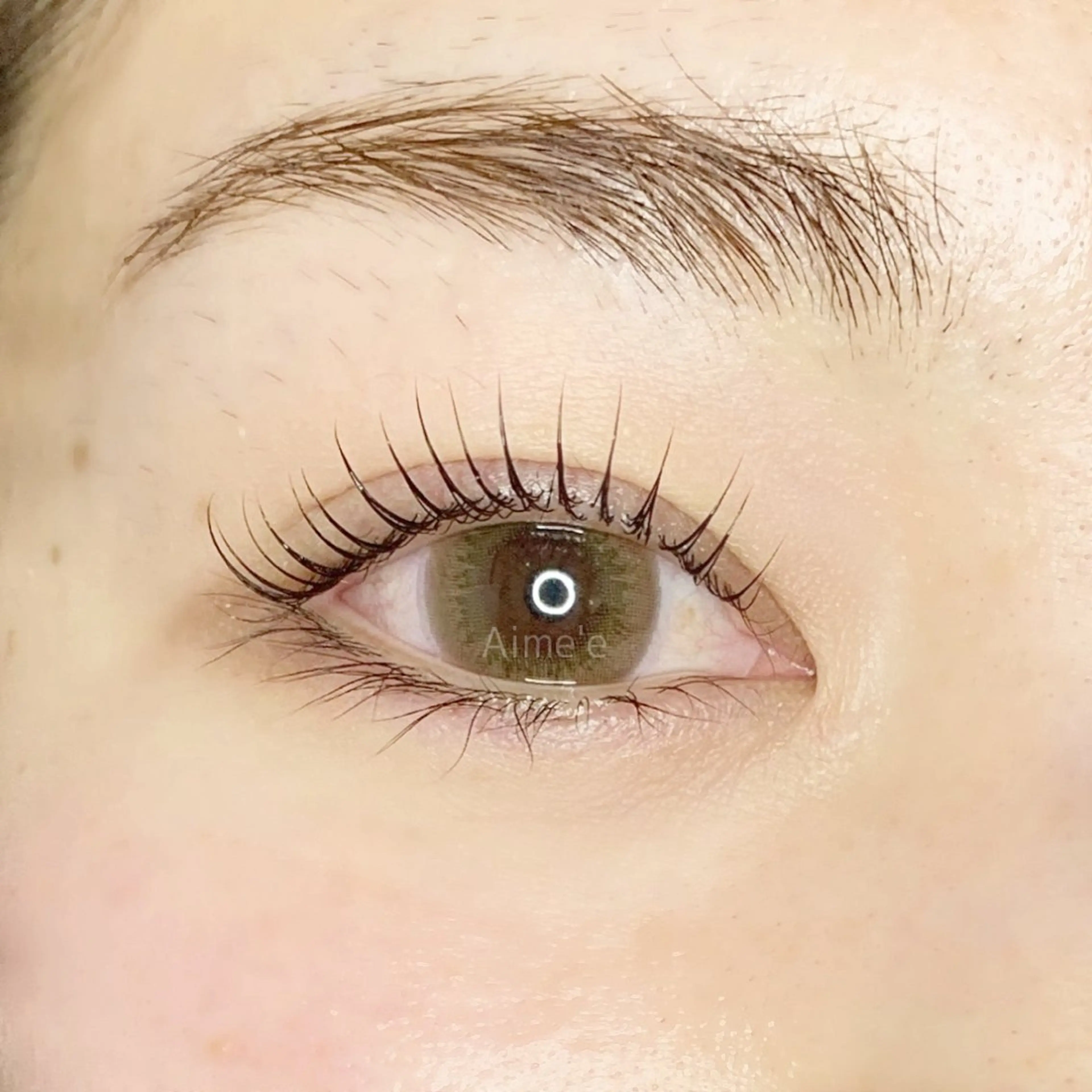 【再来】ラッシュリフト+L3トリートメントの写真