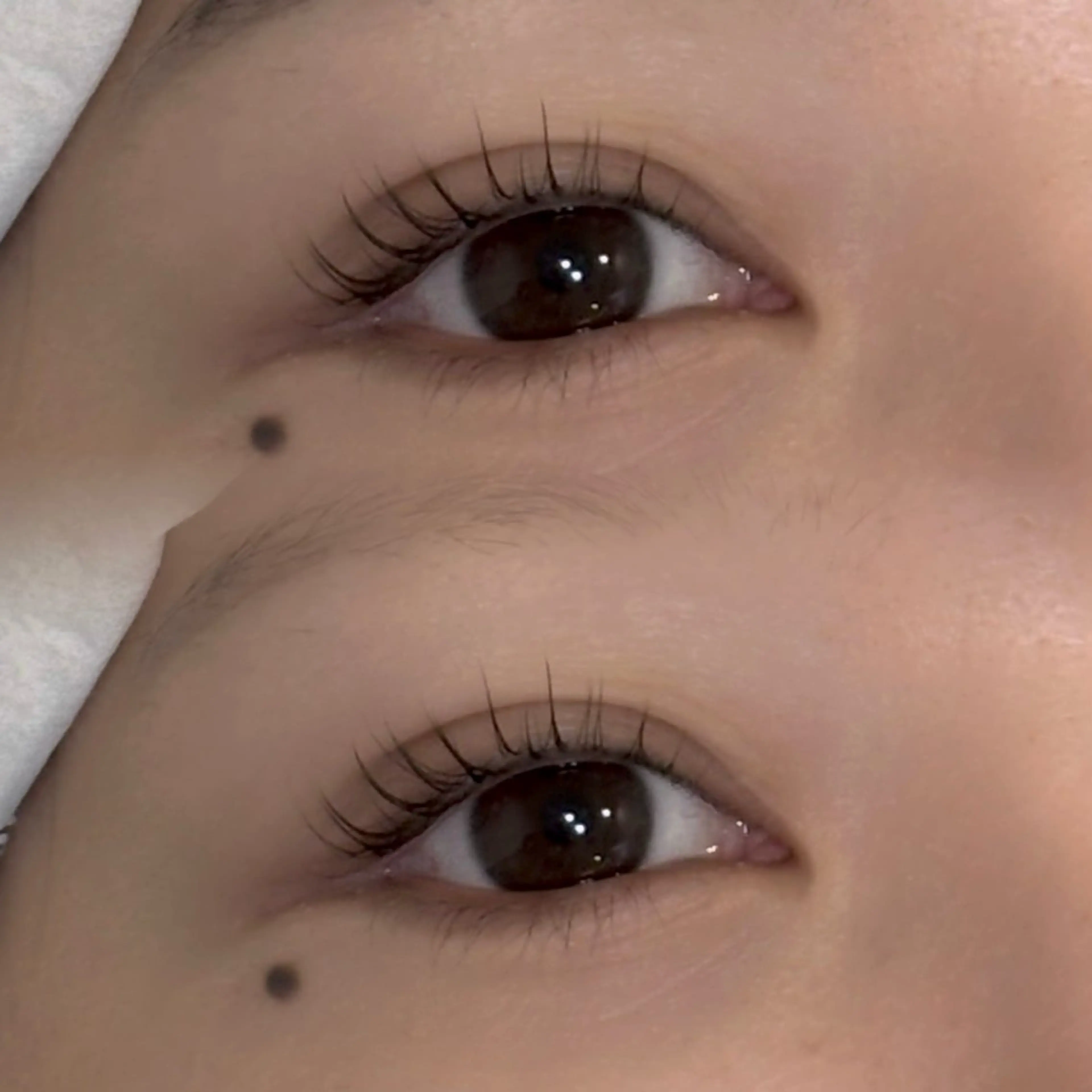 マツエク・マツパ 22+2 V1Let,s Eyebrow&Eye所属・v1Let,s cocoroのマツエク・マツパデザイン