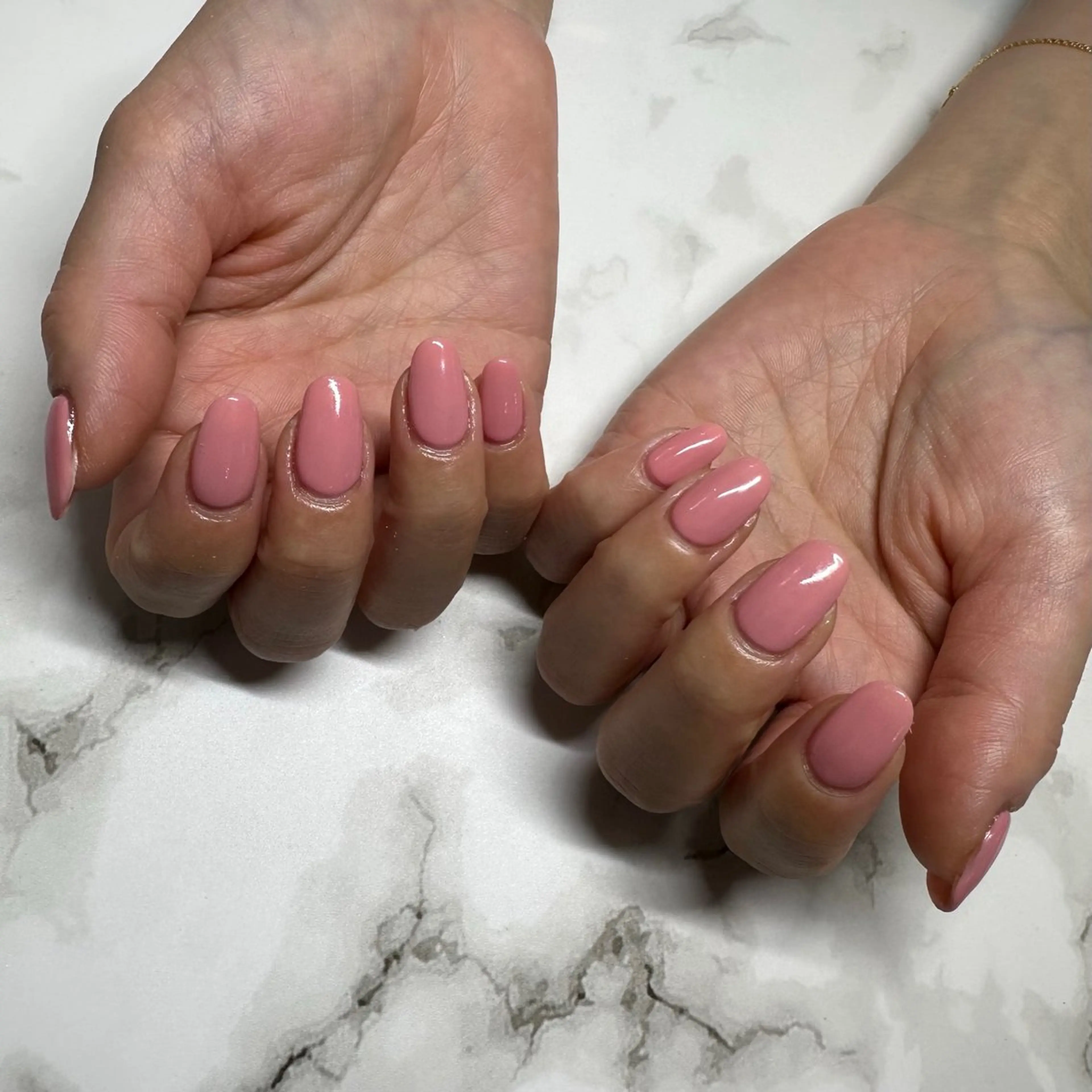 hand ワンカラーの写真