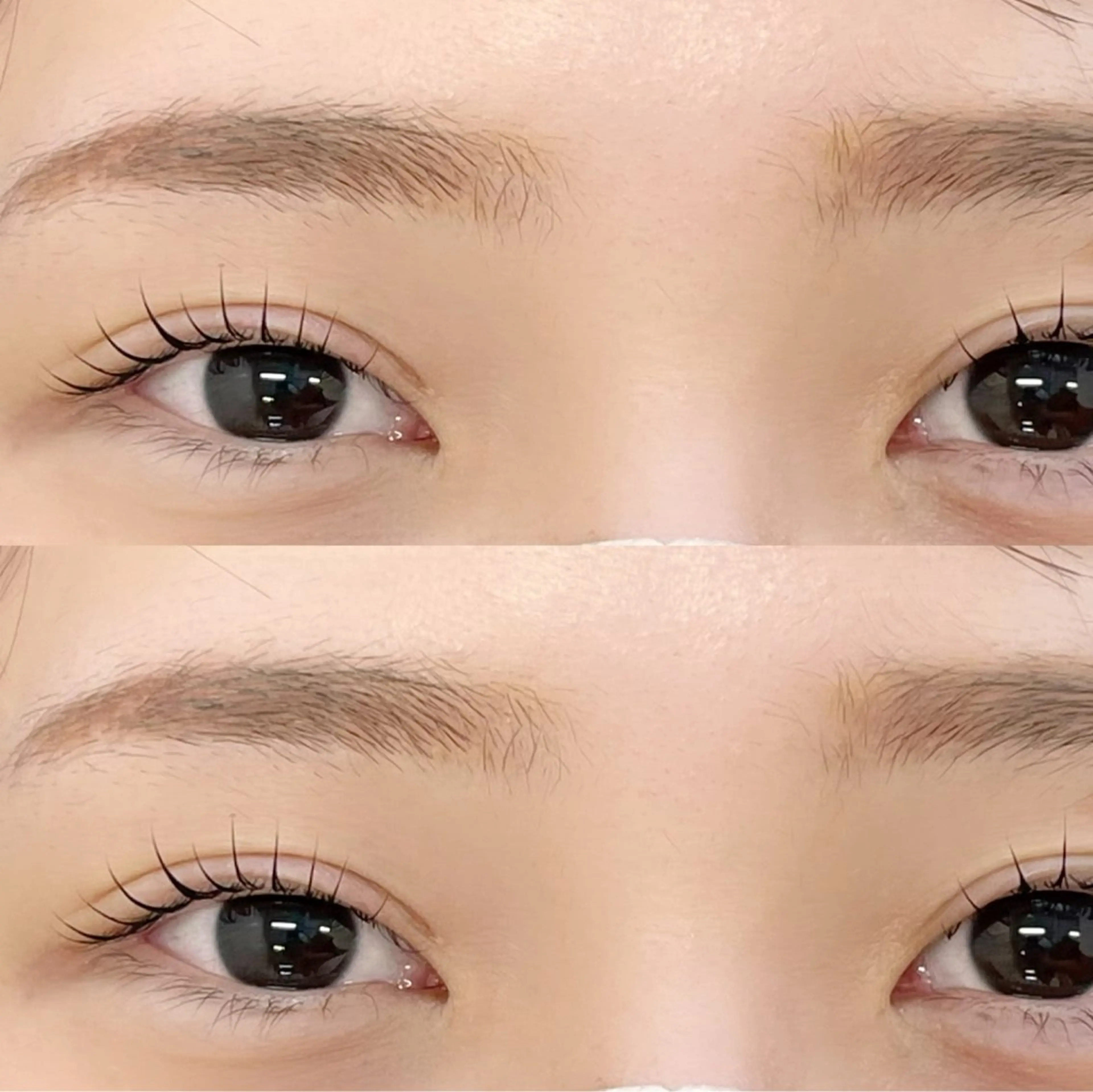 【ミニモ学割】まつげカール《赤羽/志茂》の写真