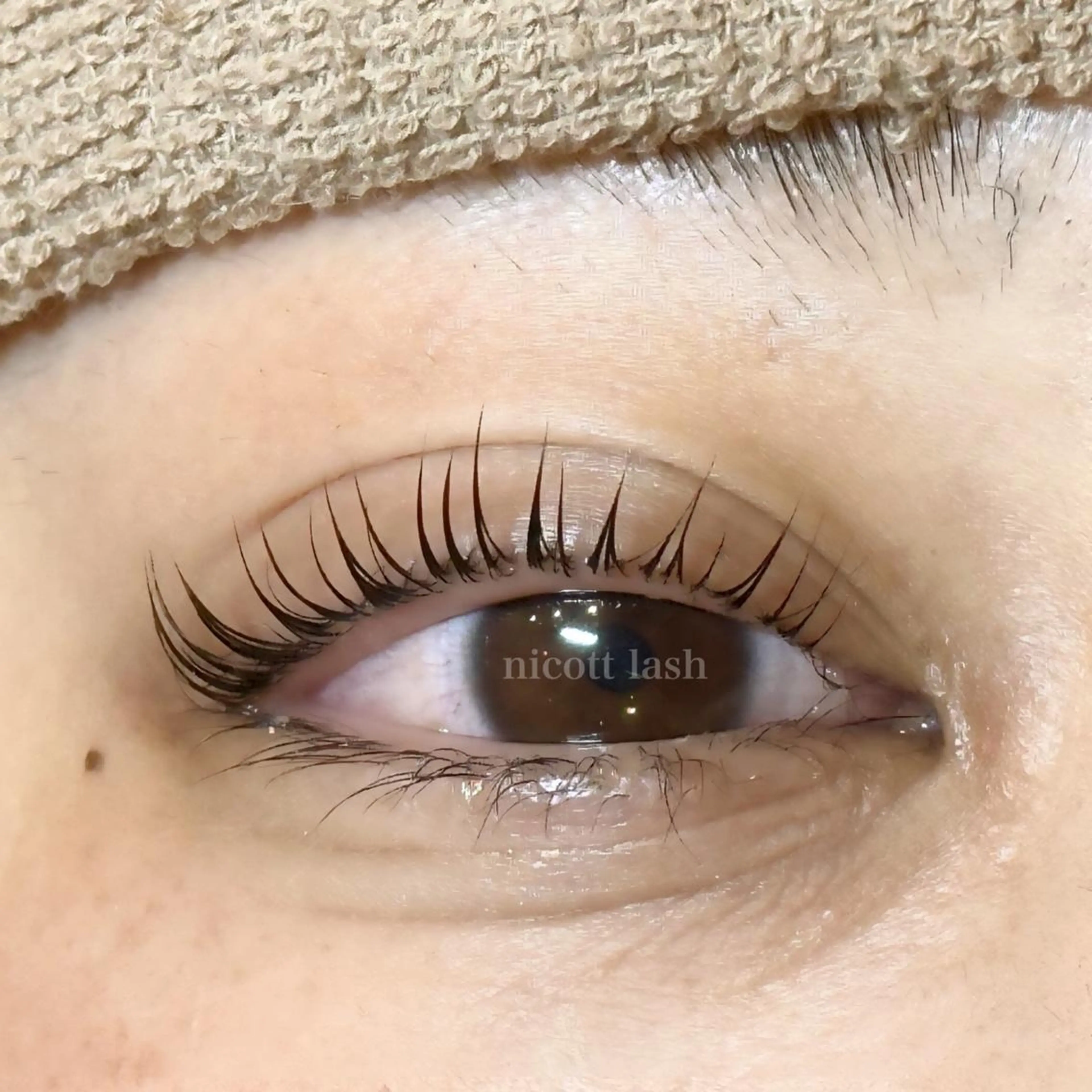 マツエク・マツパ nicott 篠田のマツエク・マツパデザイン