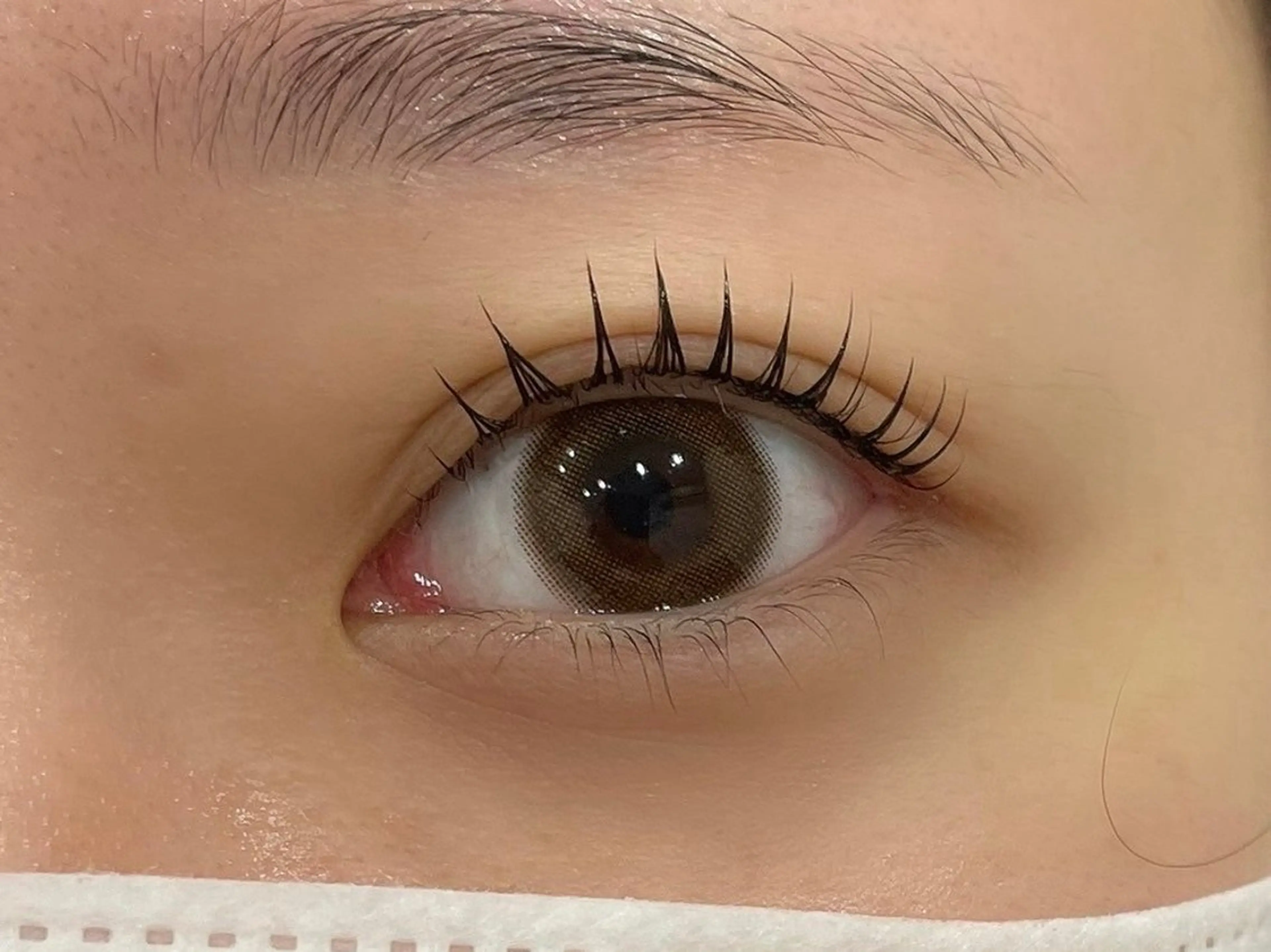 マツエク・マツパ Ai Quick 増田の眉毛・アイブロウイメージ