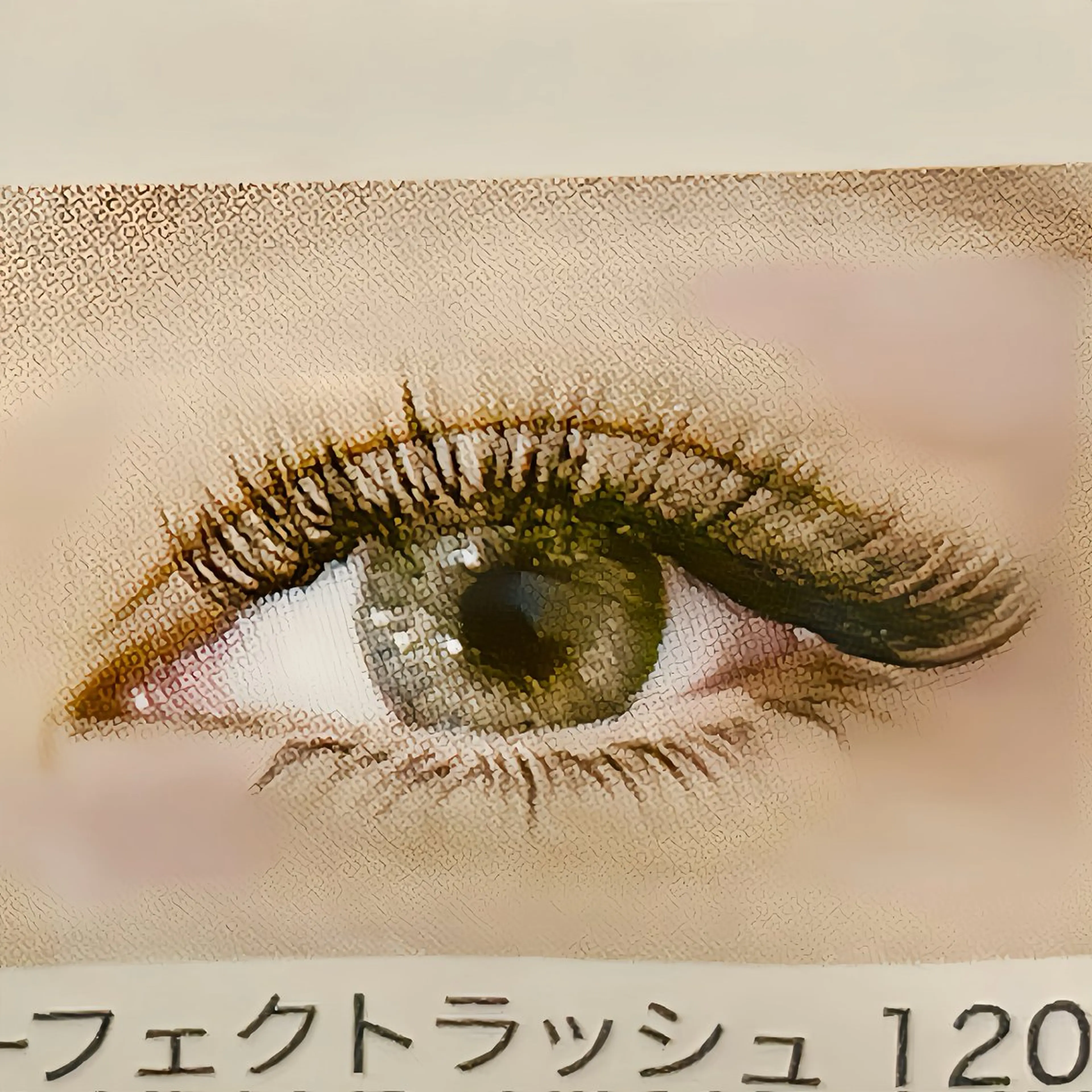 マツエク・マツパ 🎀ROCHIE八木 イケダ🎀🌟の眉毛・アイブロウイメージ