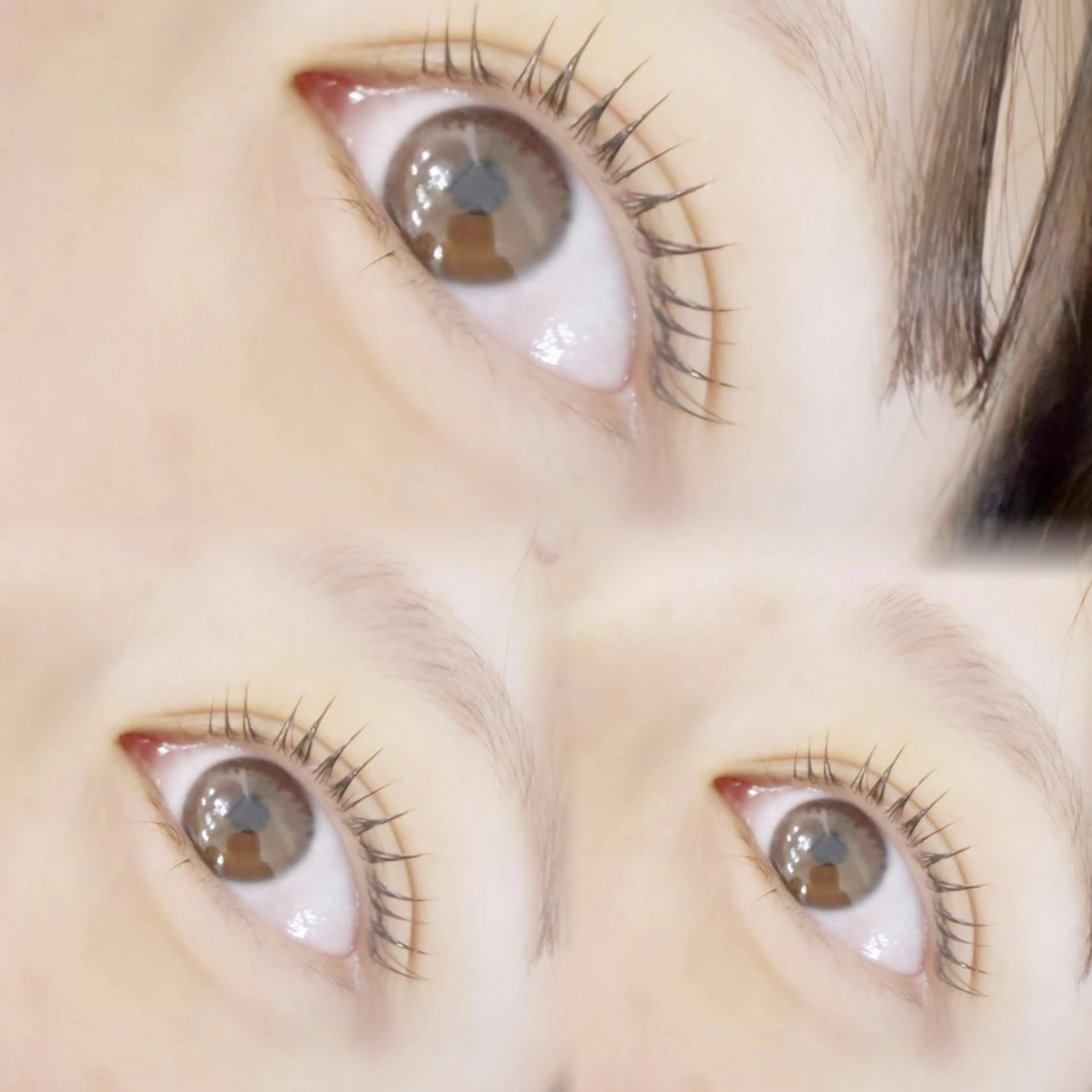 マツエク・マツパ shucre所属・shucre津店. 柴本愛梨のマツエク・マツパデザイン