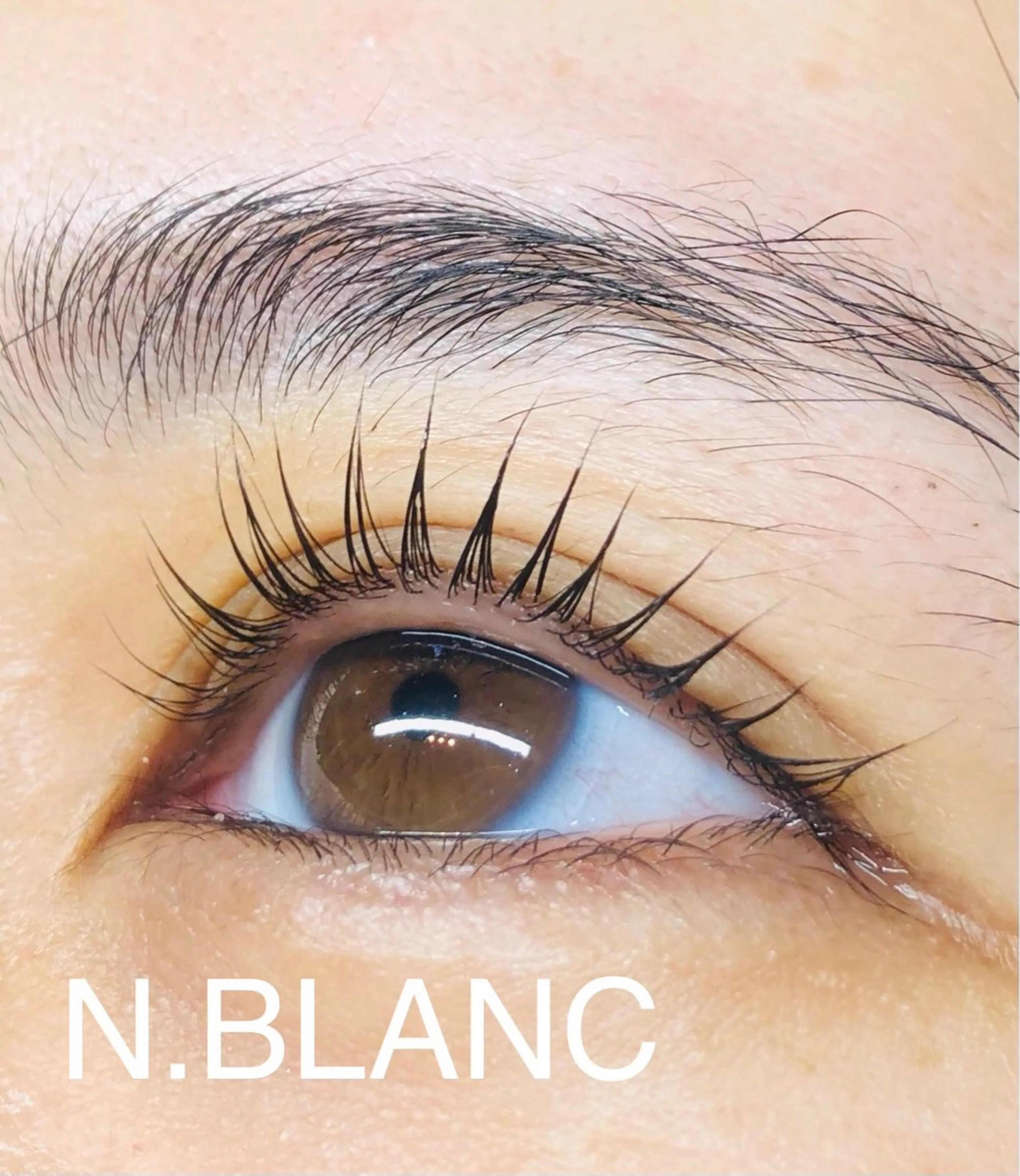 【前割】まつ毛パーマ▪️2日前予約▪️の写真