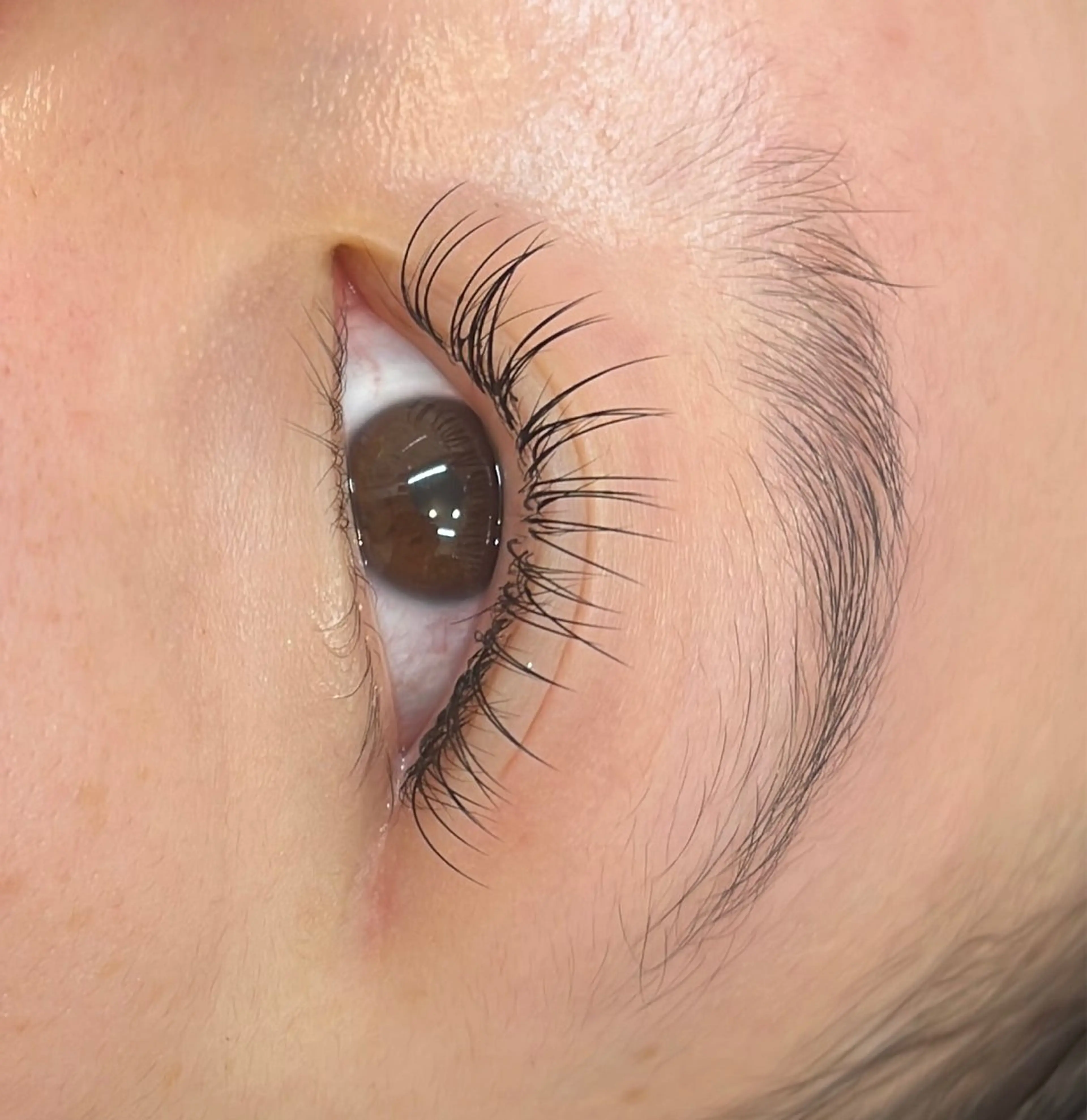 マツエク・マツパ シルク MAQUIA蒲田店 横山のマツエク・マツパデザイン