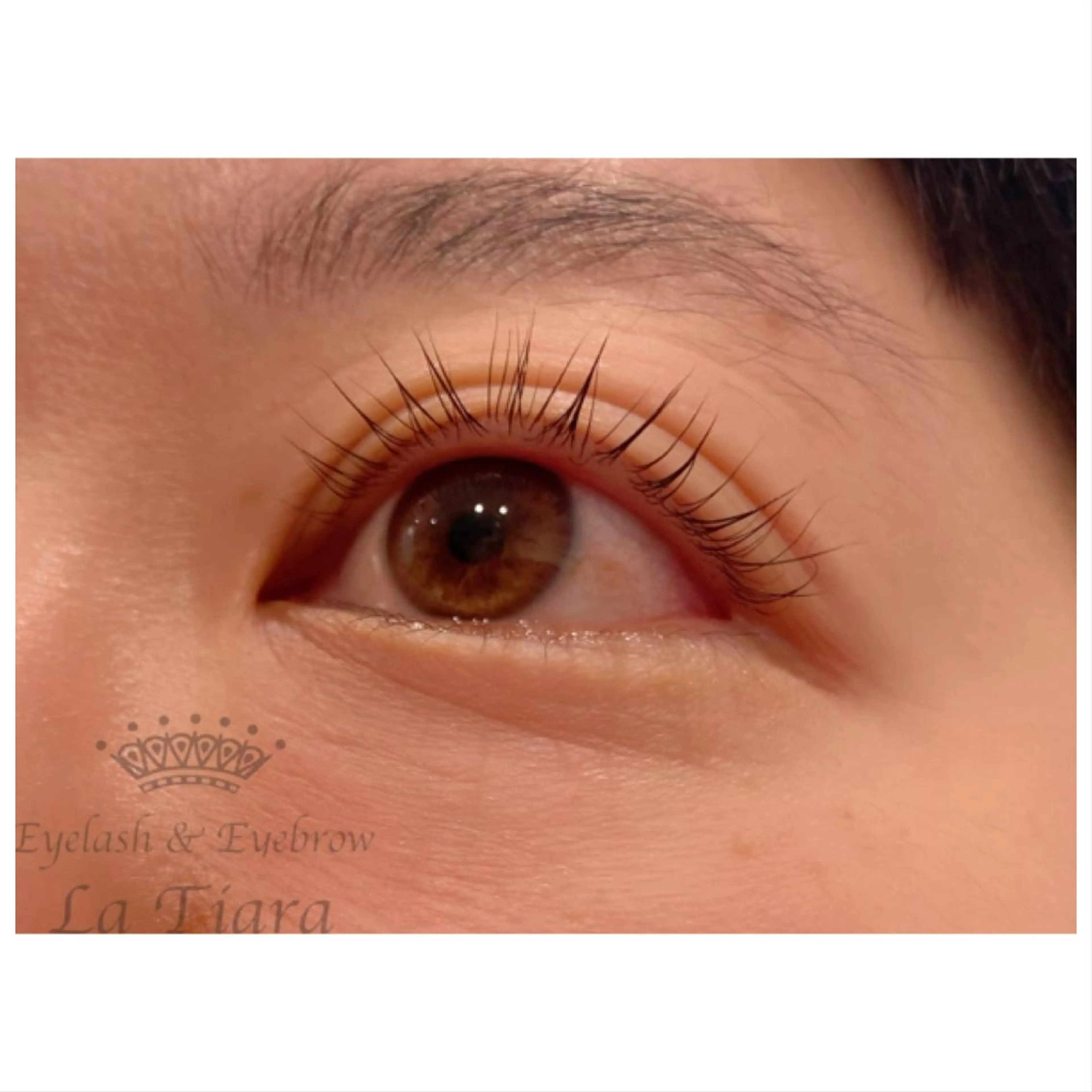 アイブロウＷＡＸ脱毛＋まつげパーマ+アイシャンプー🦋ミニモ限定価格🧡4月14日限定の写真