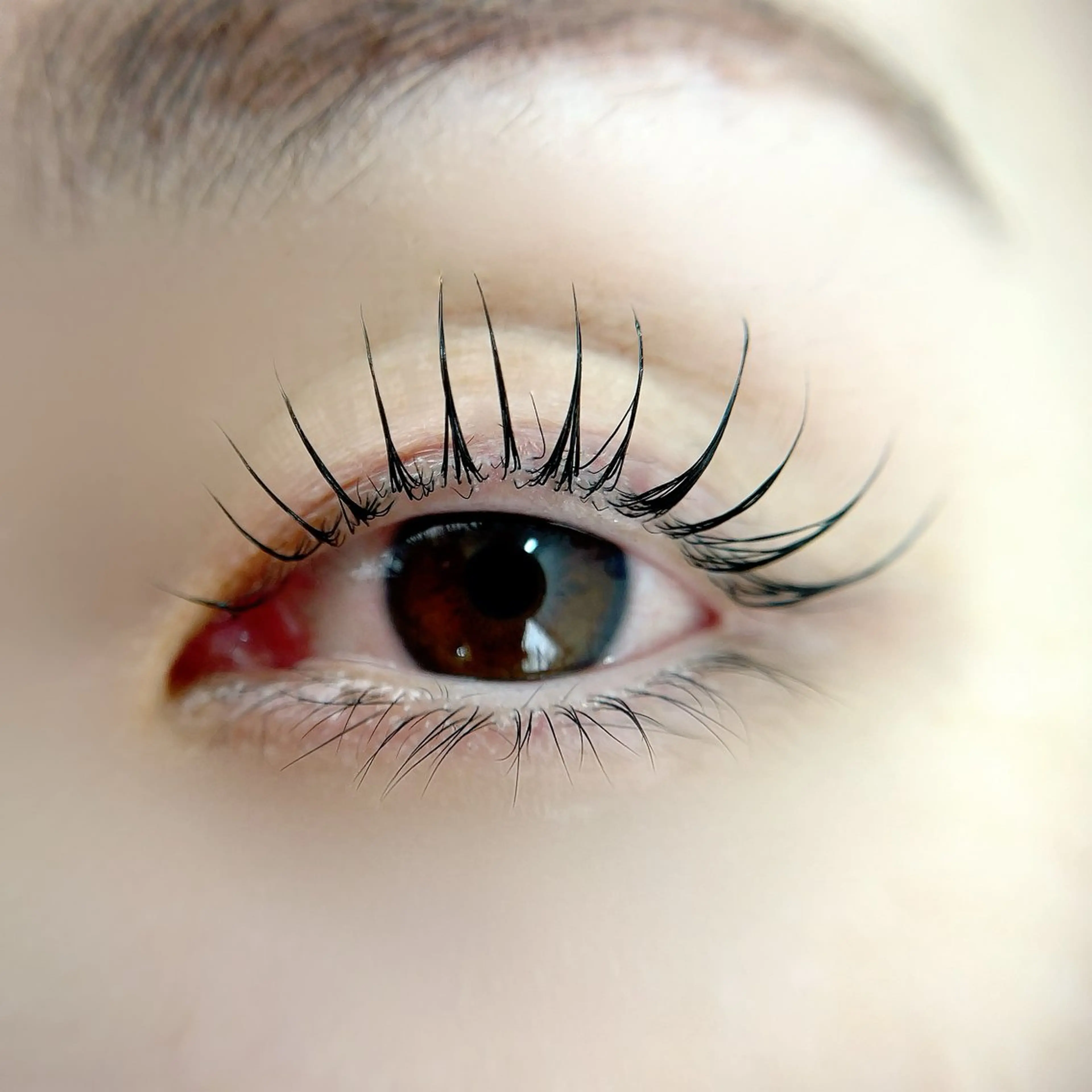 マツエク・マツパ まつげパーマ Angela アンジェラ南増尾のその他イメージ