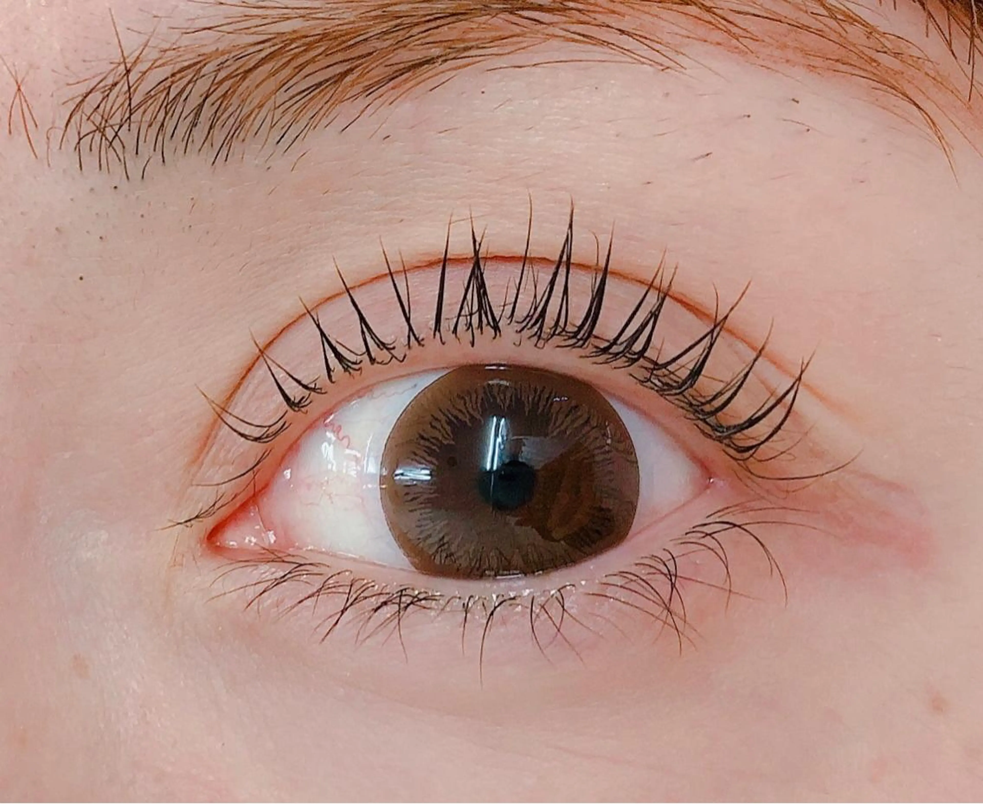 マツエク・マツパ BIONAS 【ビオナス】の眉毛・アイブロウイメージ