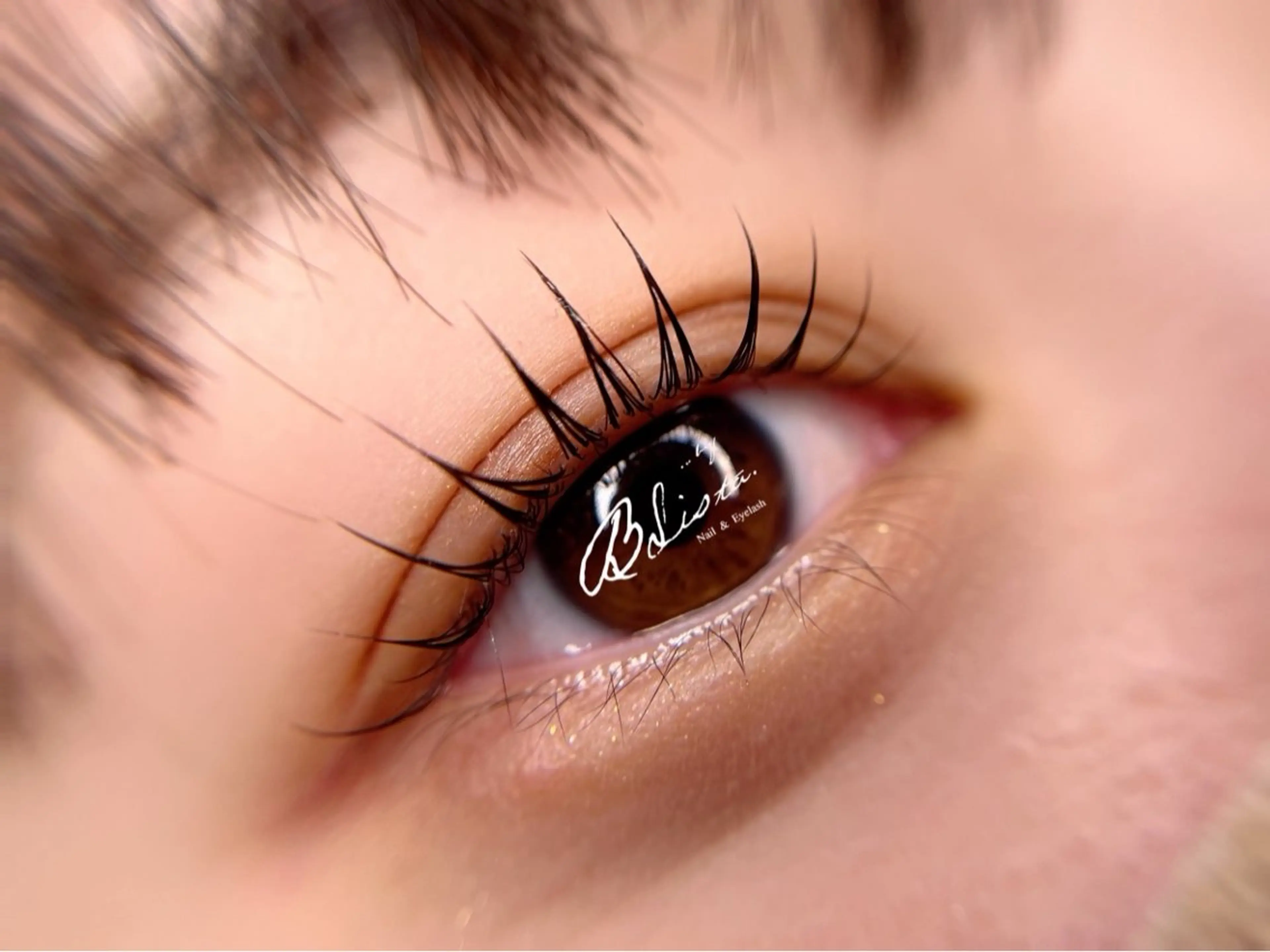 〉ご新規さま限定■ ラッシュリフト(ｺ-ﾃｨﾝｸﾞ仕上げ)の写真