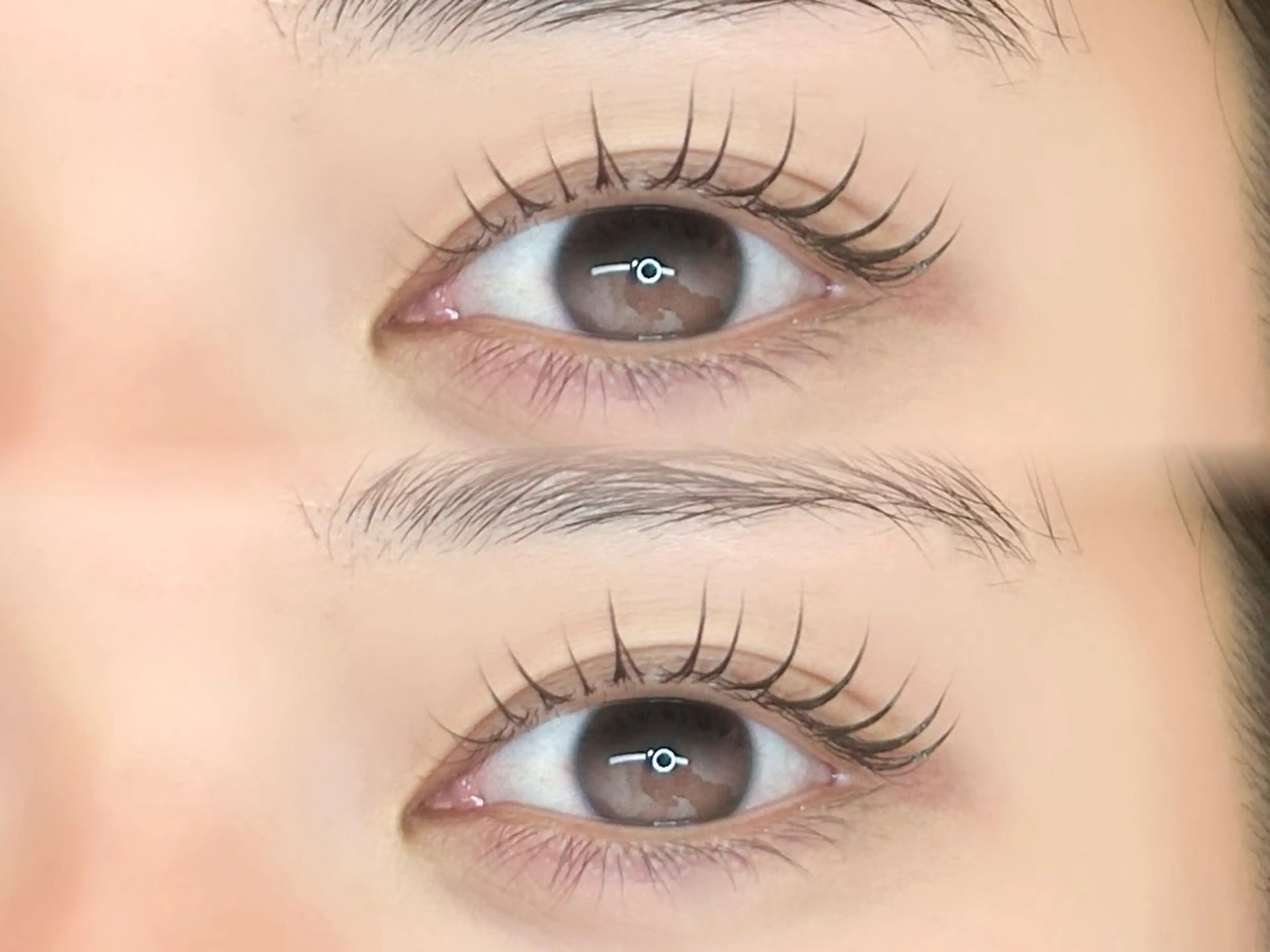 【長持ち⭐︎ラッシュリフト】¥5990→¥5390の写真