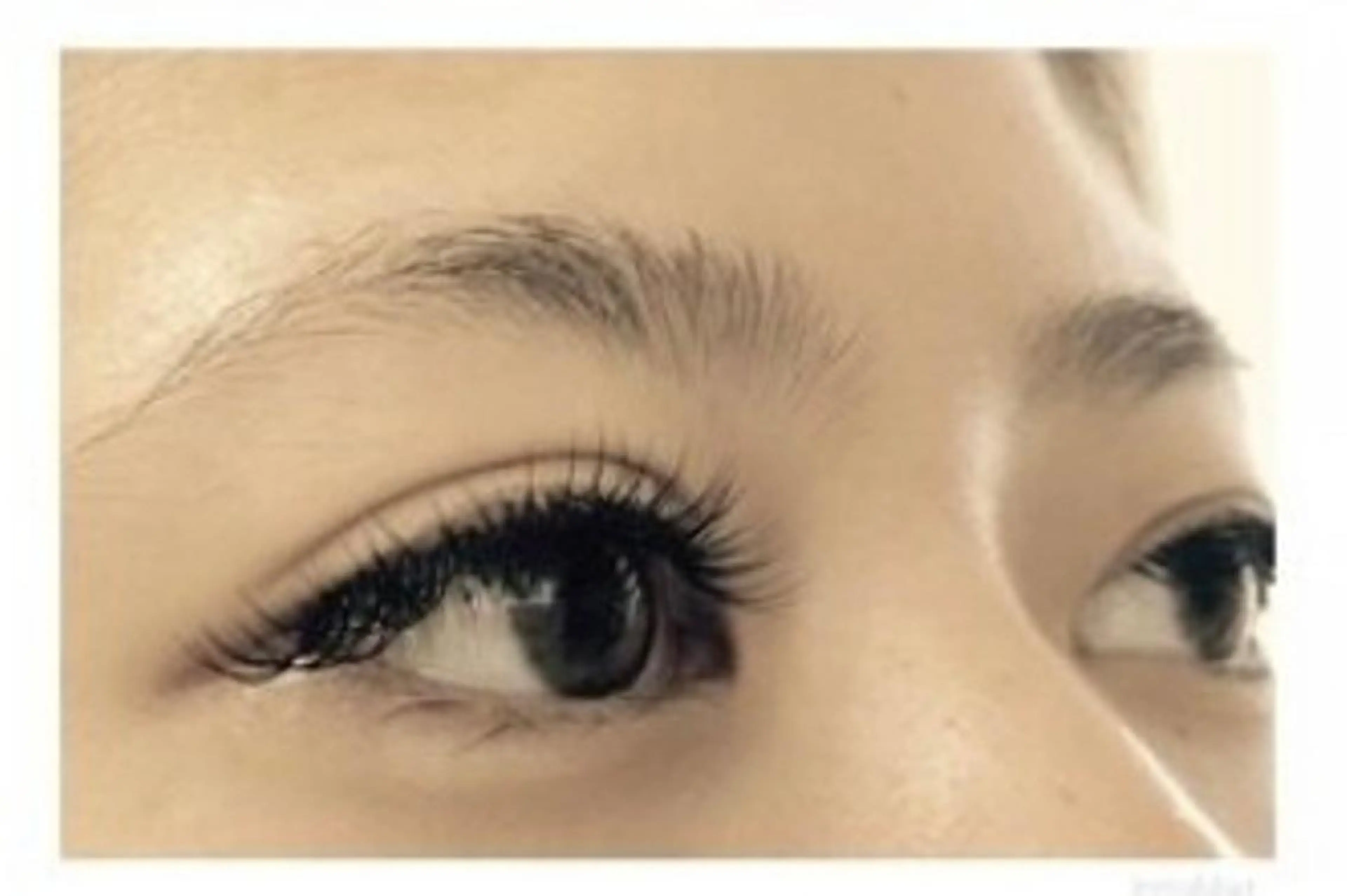 オフ無料★ 高級プラチナセーブル（上）付け放題の写真