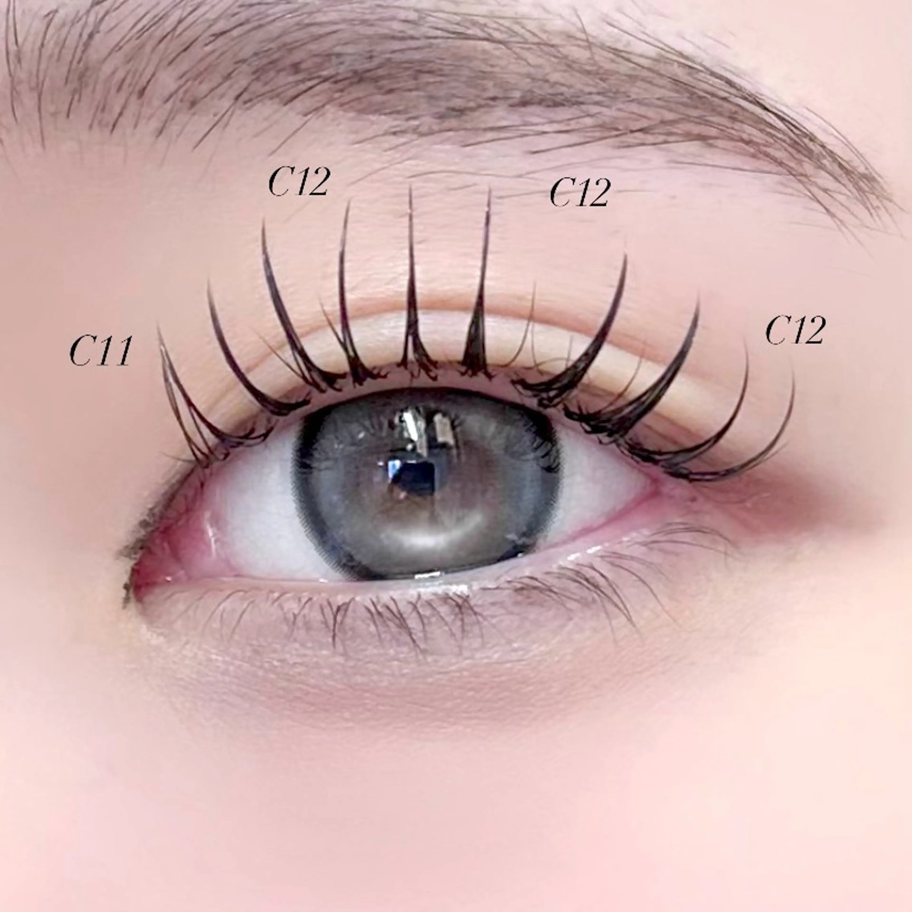 マツエク・マツパ PLATINUM DOLL南草津店🪽のマツエク・マツパデザイン