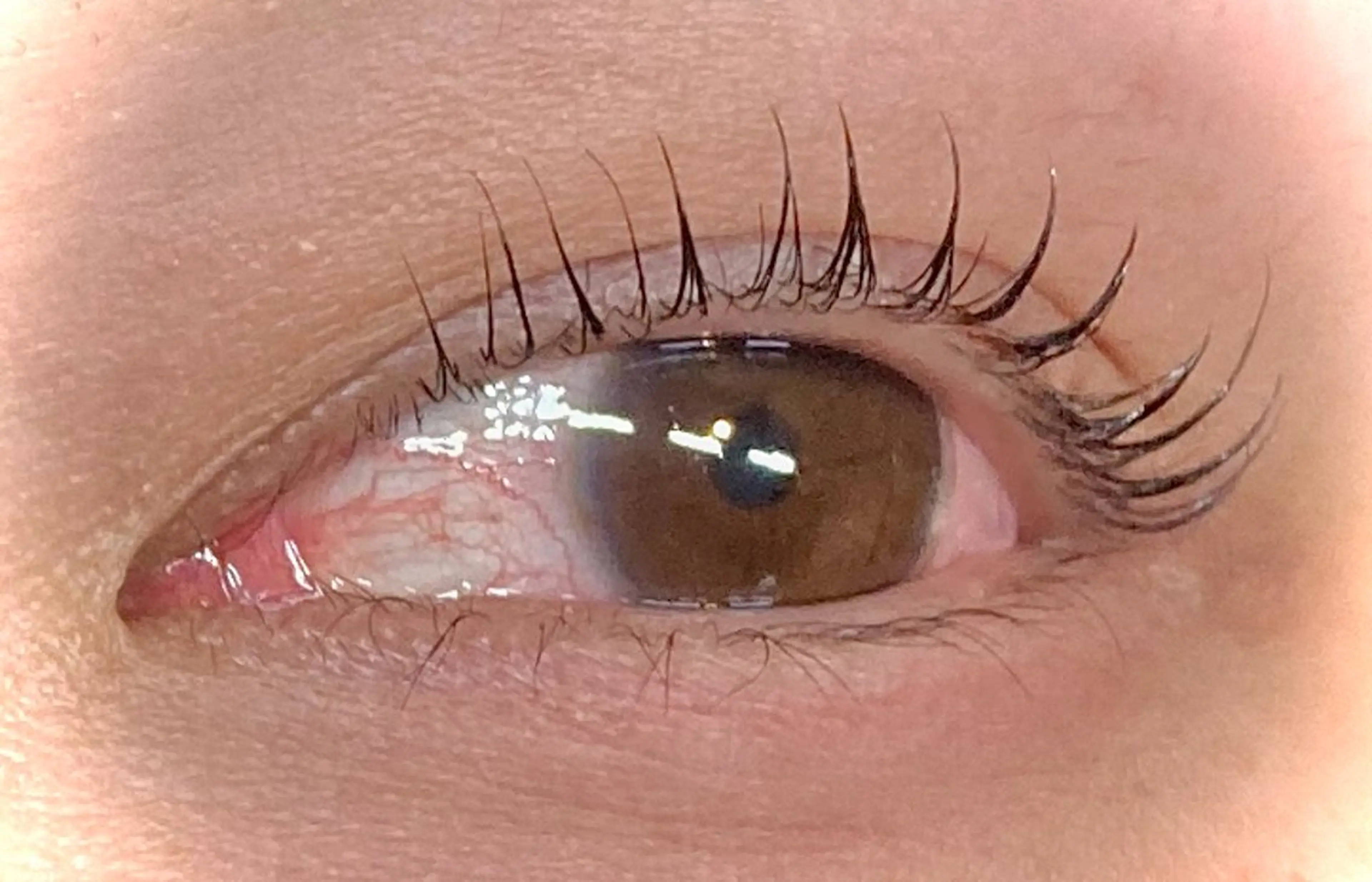 まつ毛パーマ　上の写真