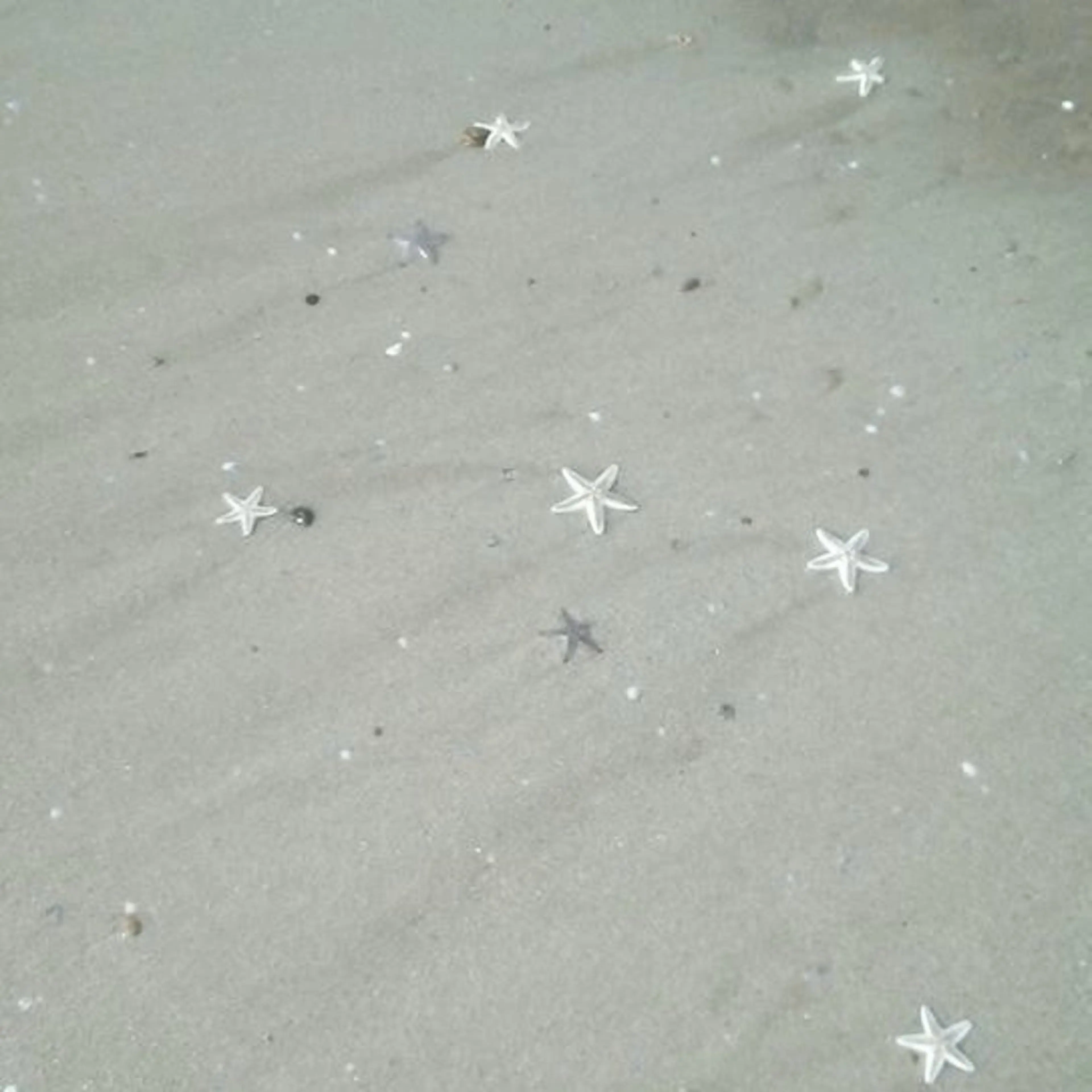 YUKA‪ ·͜· Chill＆Eyeのマツエク・マツパデザイン