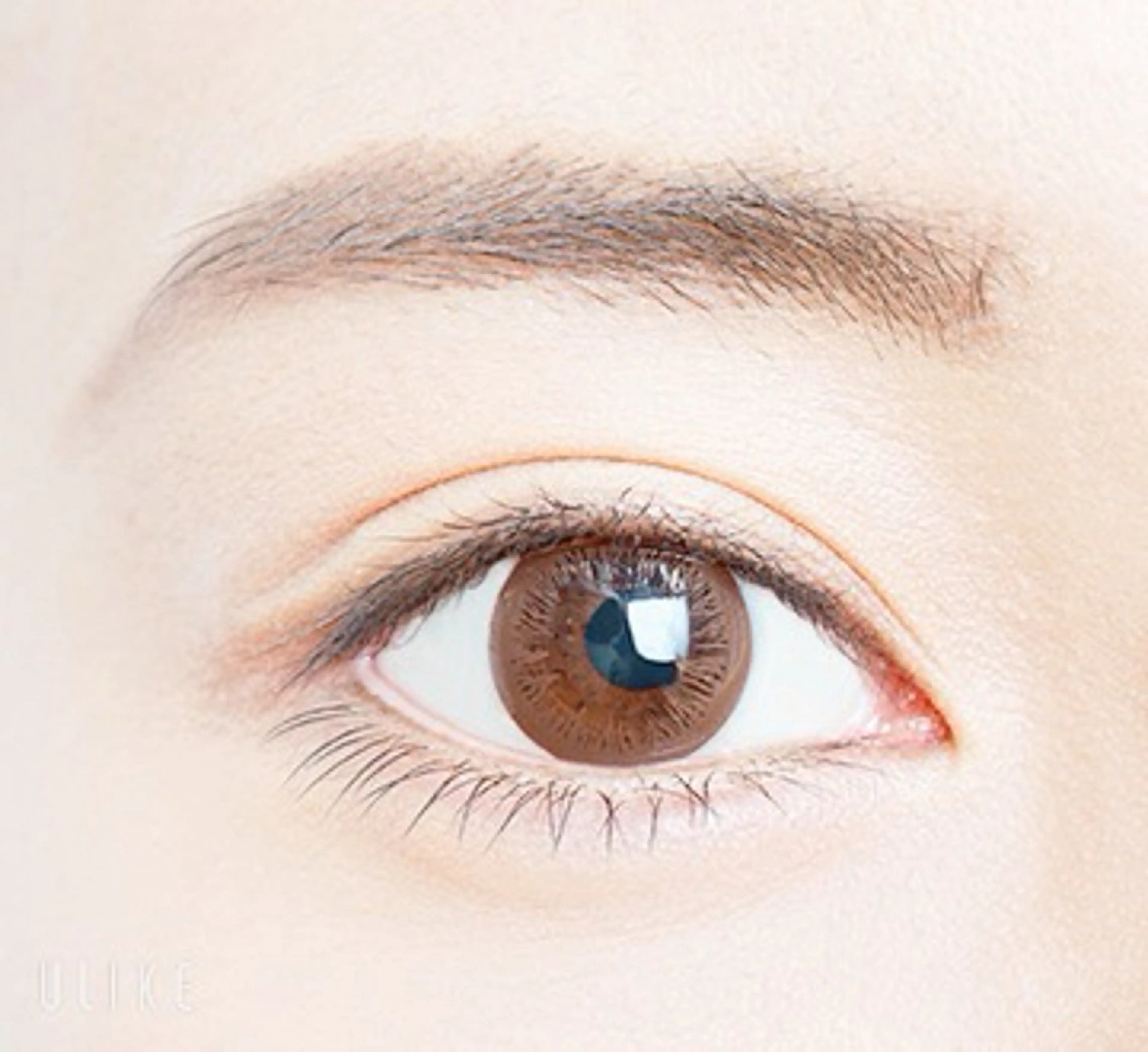 【初回オフ込み】目力UP！上下マツゲエクステ　トータル140本 までなら本数振り分け自由の写真