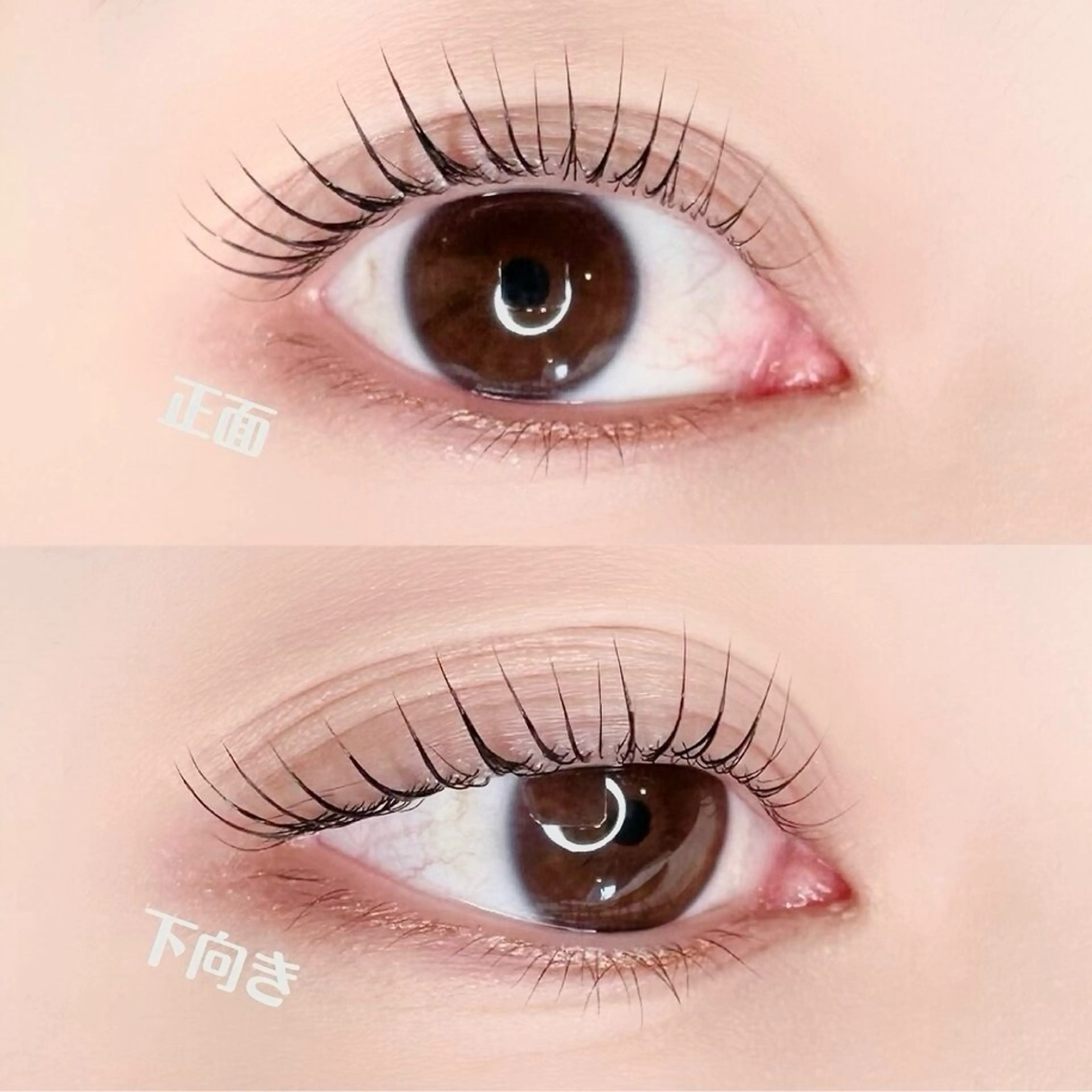 当日予約限定◎《まつ毛パーマ パリジェンヌ》¥4400→¥3900の写真