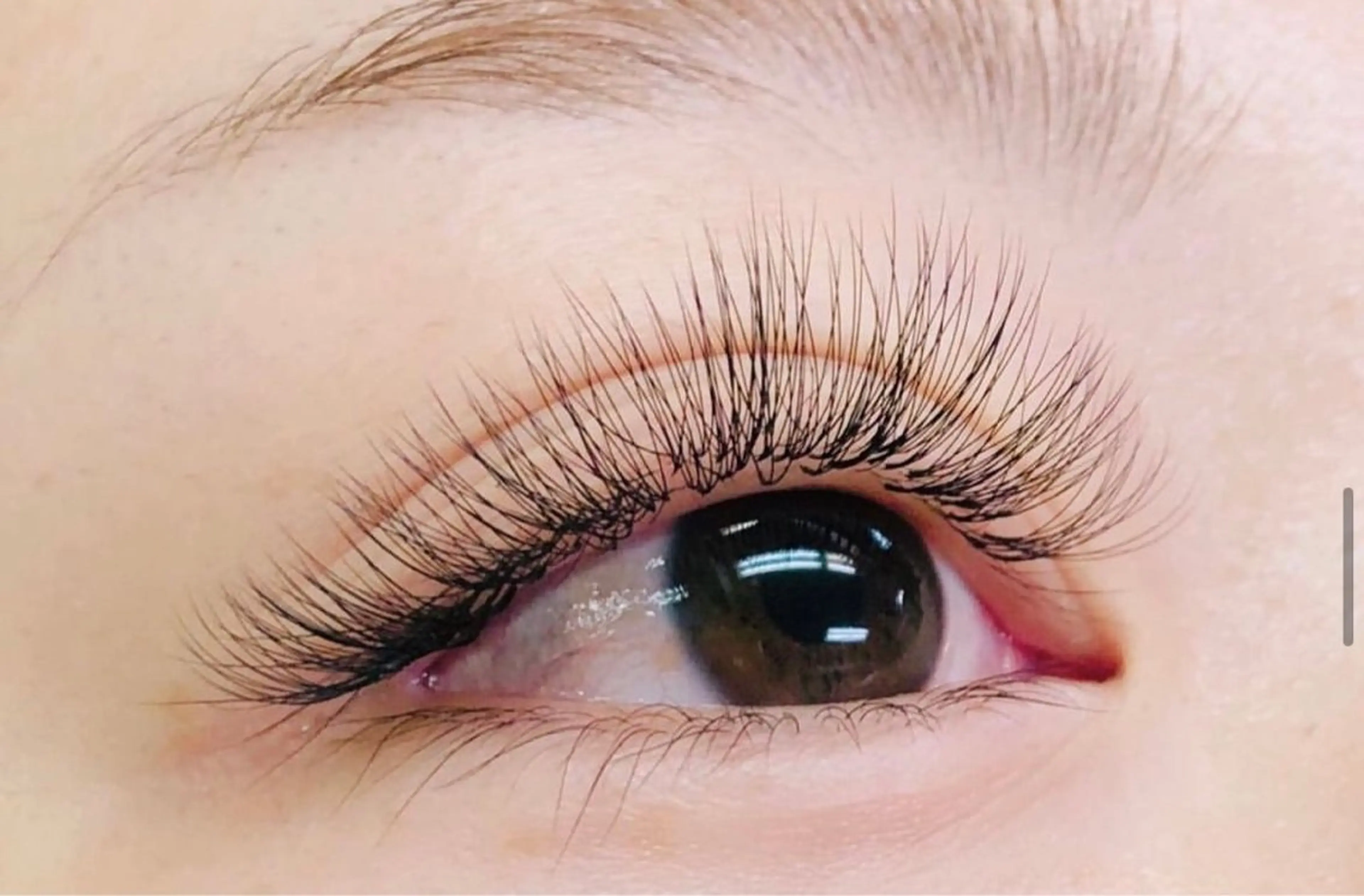 【全員】🌸ボリュームラッシュ🌸上のみ100束  浦和/マツエクの写真