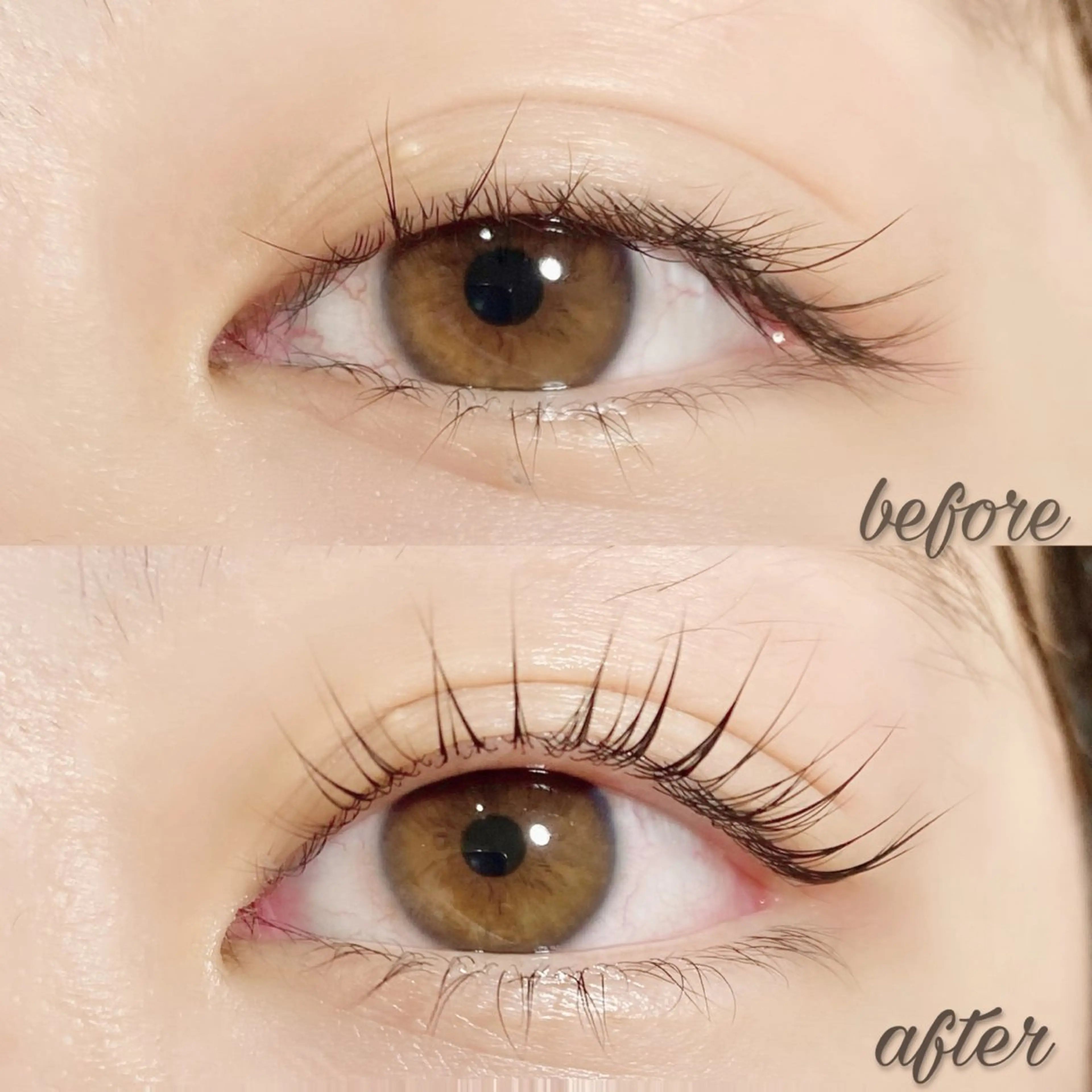 ‎🤍ミニモ特別価格‎🤍 人気まつ毛パーマ  ¥3500 ⚠️補足説明必読の写真