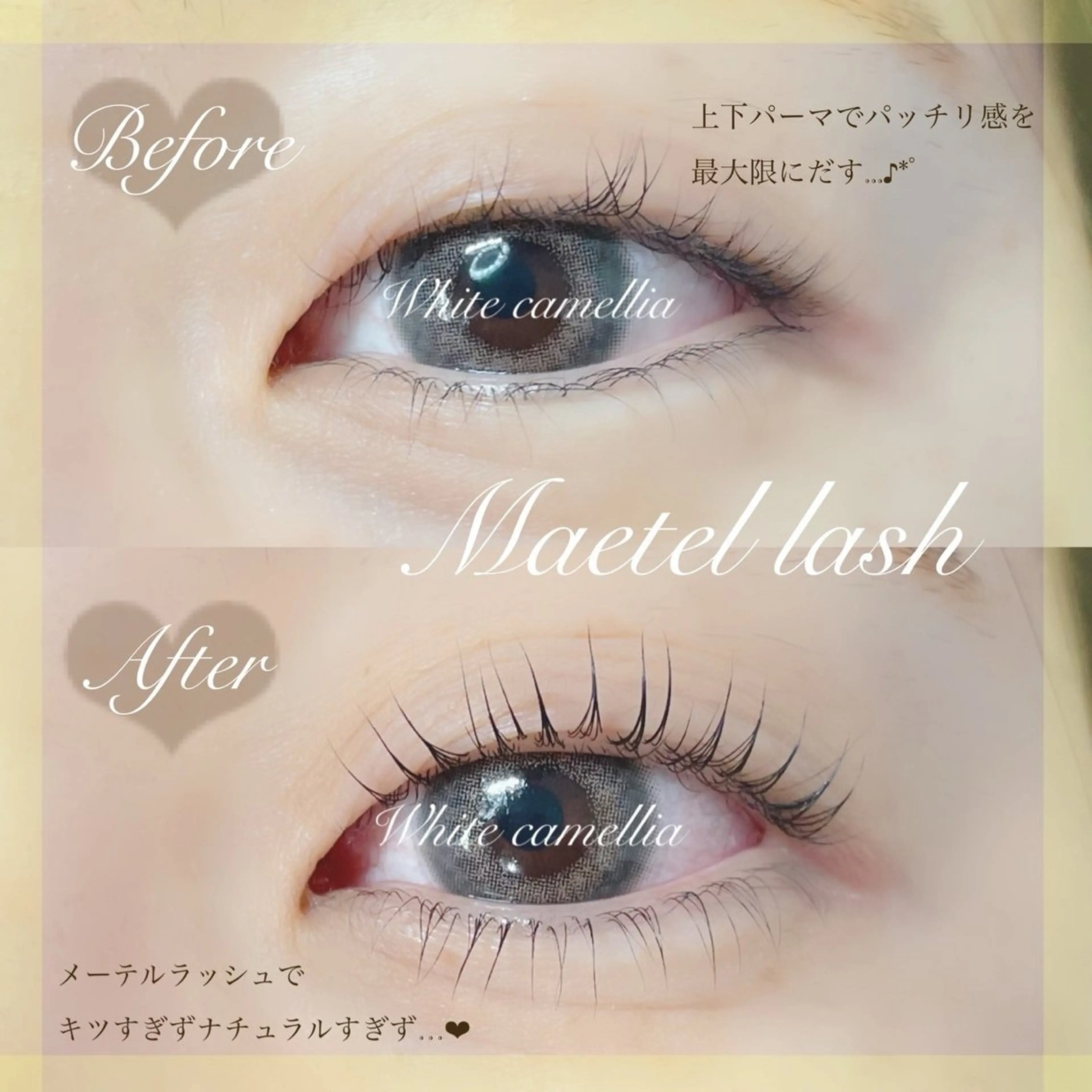 マツエク・マツパ miyu/圧倒的モチ /韓国風束感のマツエク・マツパデザイン