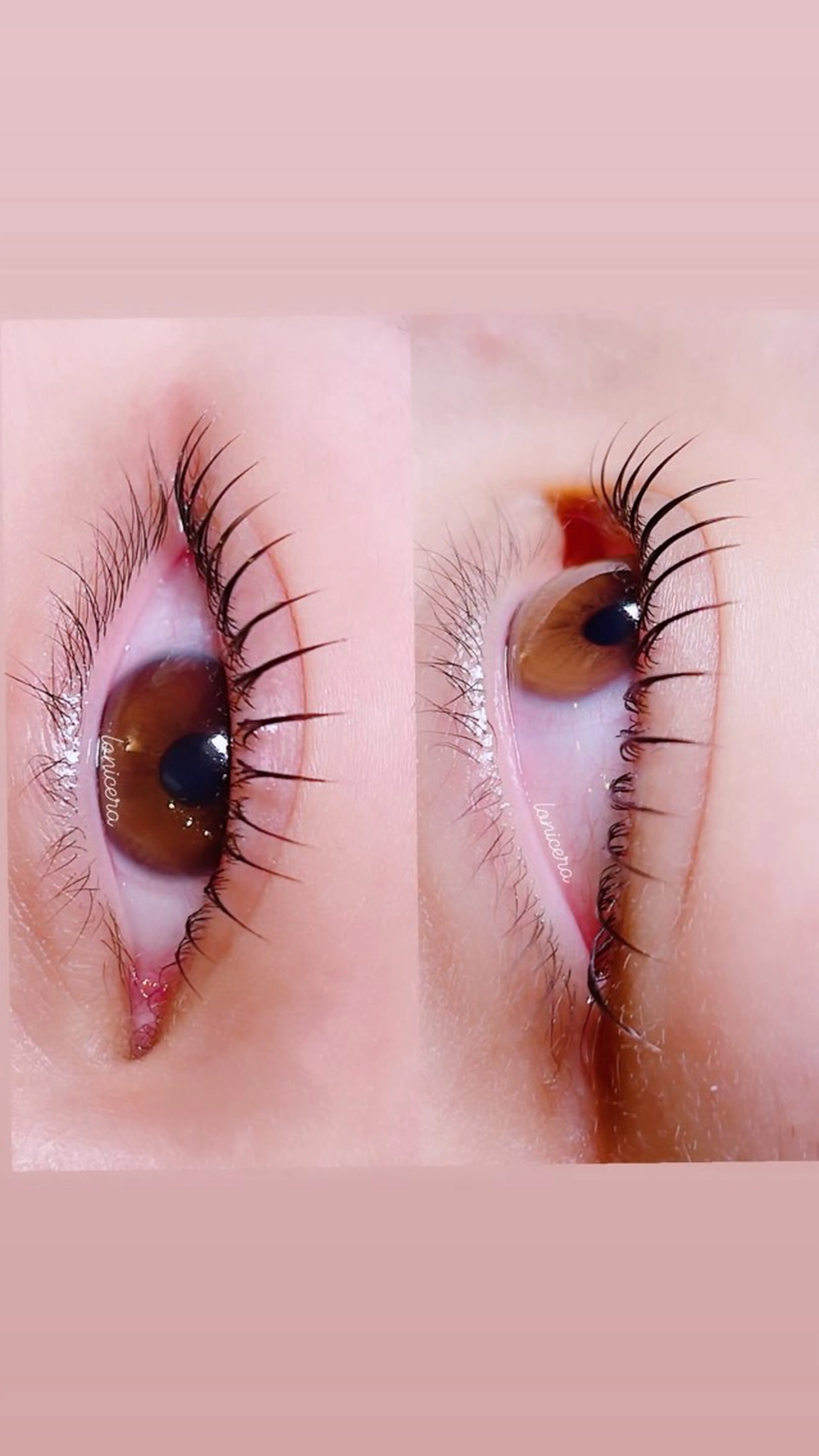 マツエク・マツパ ロニセラ アイラッシュのマツエク・マツパデザイン