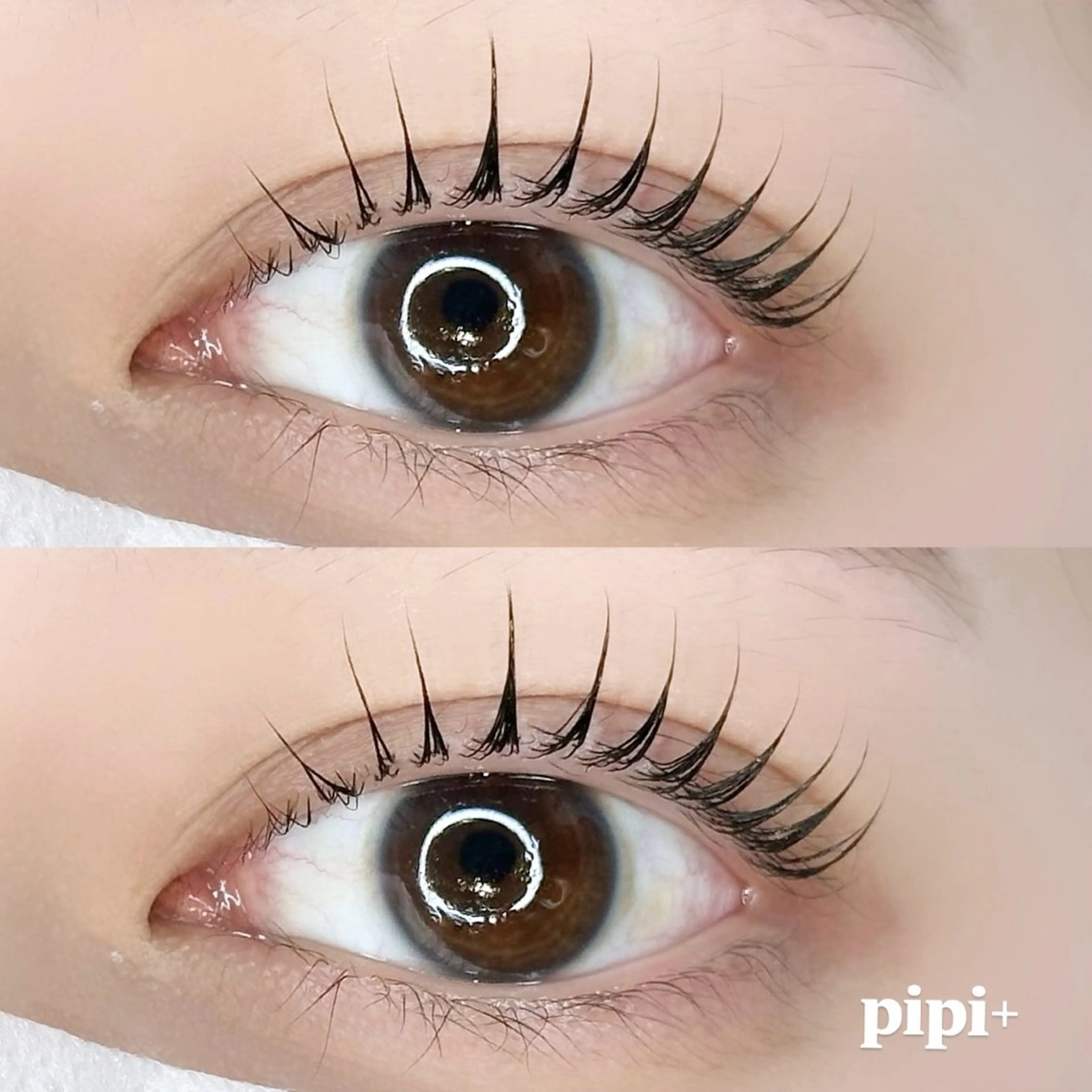 パリジェンヌor.まつ毛パーマ❣️当日限定❣️ブラックティント＋1000円の写真