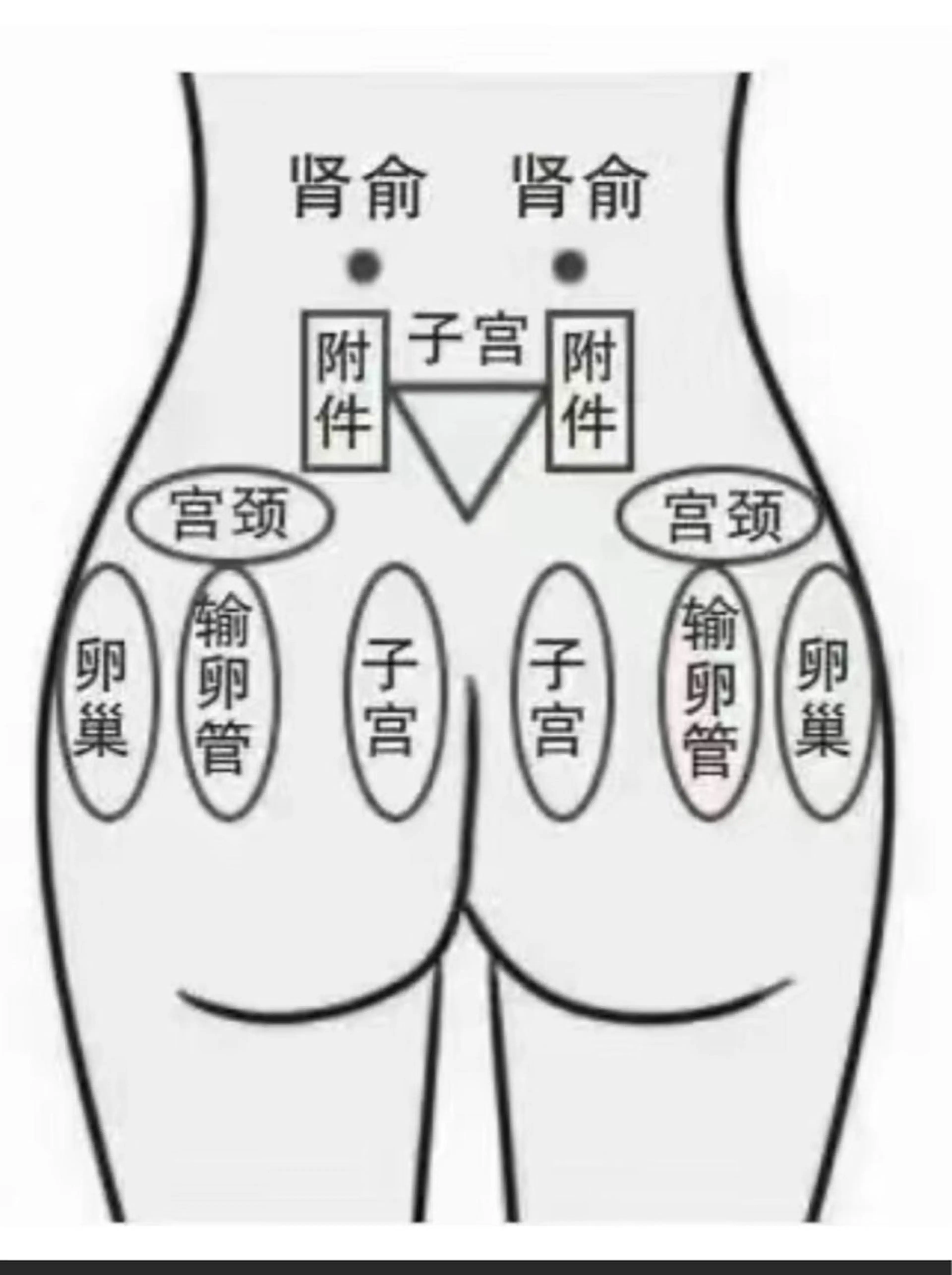 マツエク・マツパ リラクゼーション＆エステランベリー所属・ランベリ ランベリのエステ・リラクイメージ