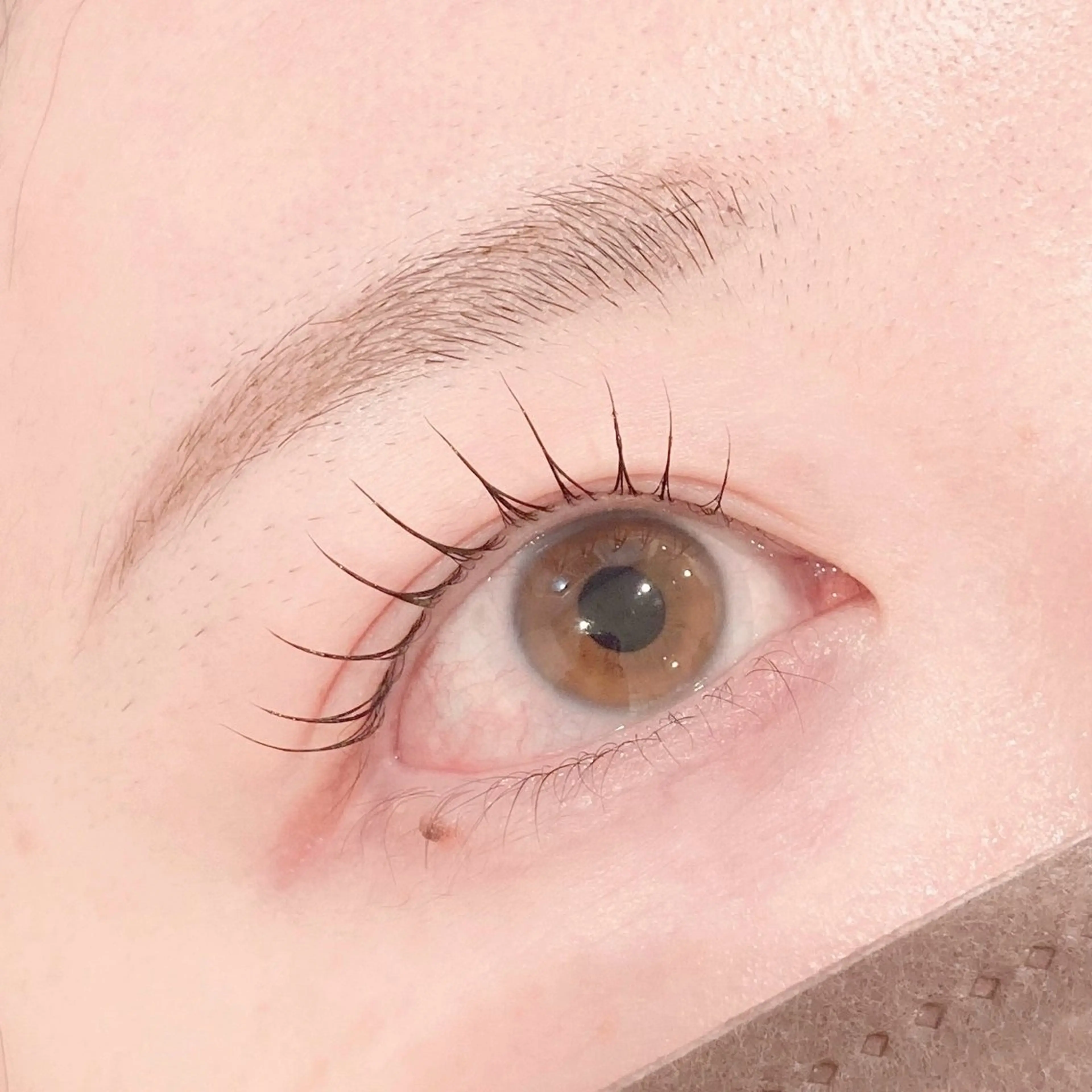 マツエク・マツパ レイフィールド北名古屋所属・レイフィールド 服部のマツエク・マツパデザイン