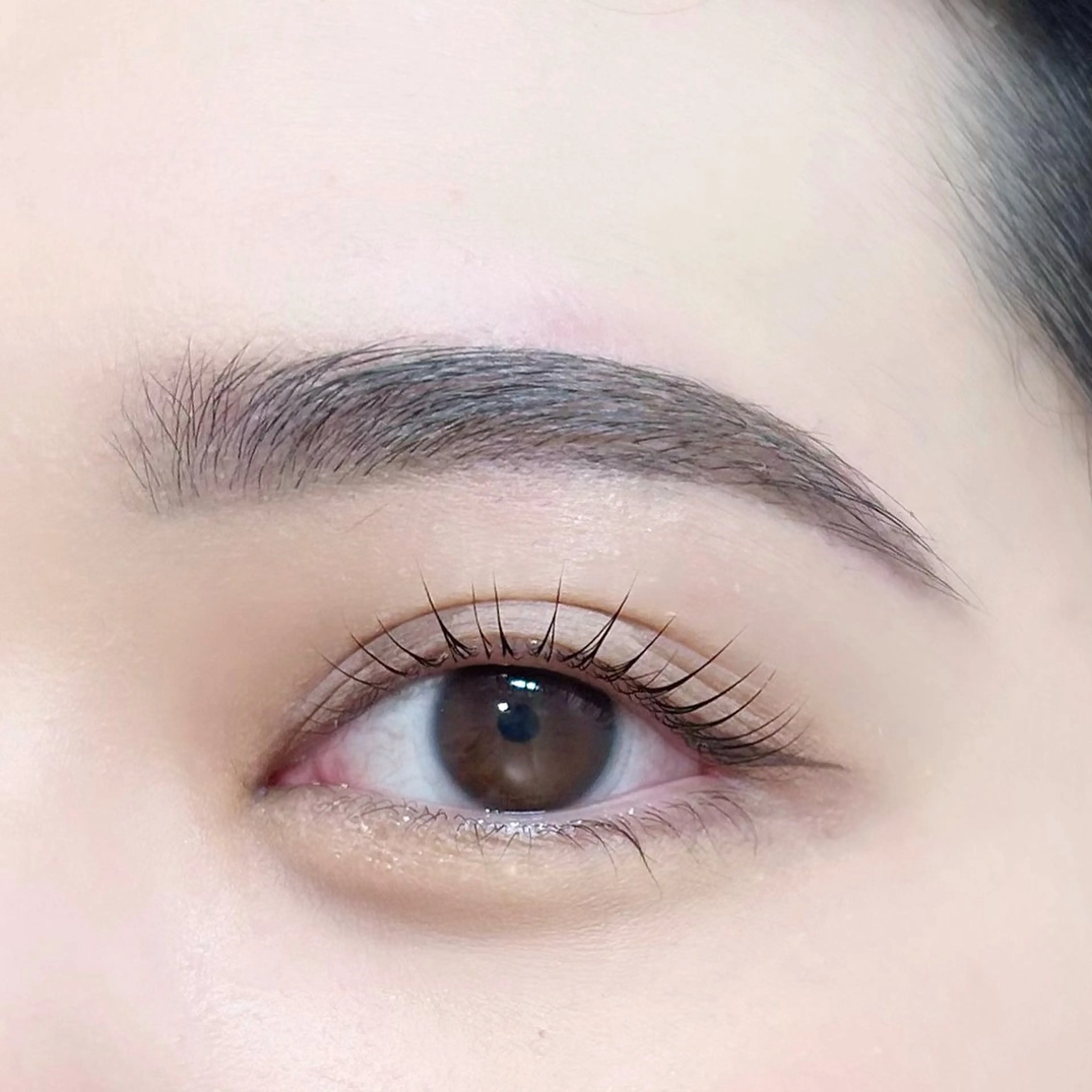 ⭐️リピーター様⭐️美眉スタイリング/アイブロウスタイリング[眉wax/メイク込]+まつげパーマ[コーティング付]の写真