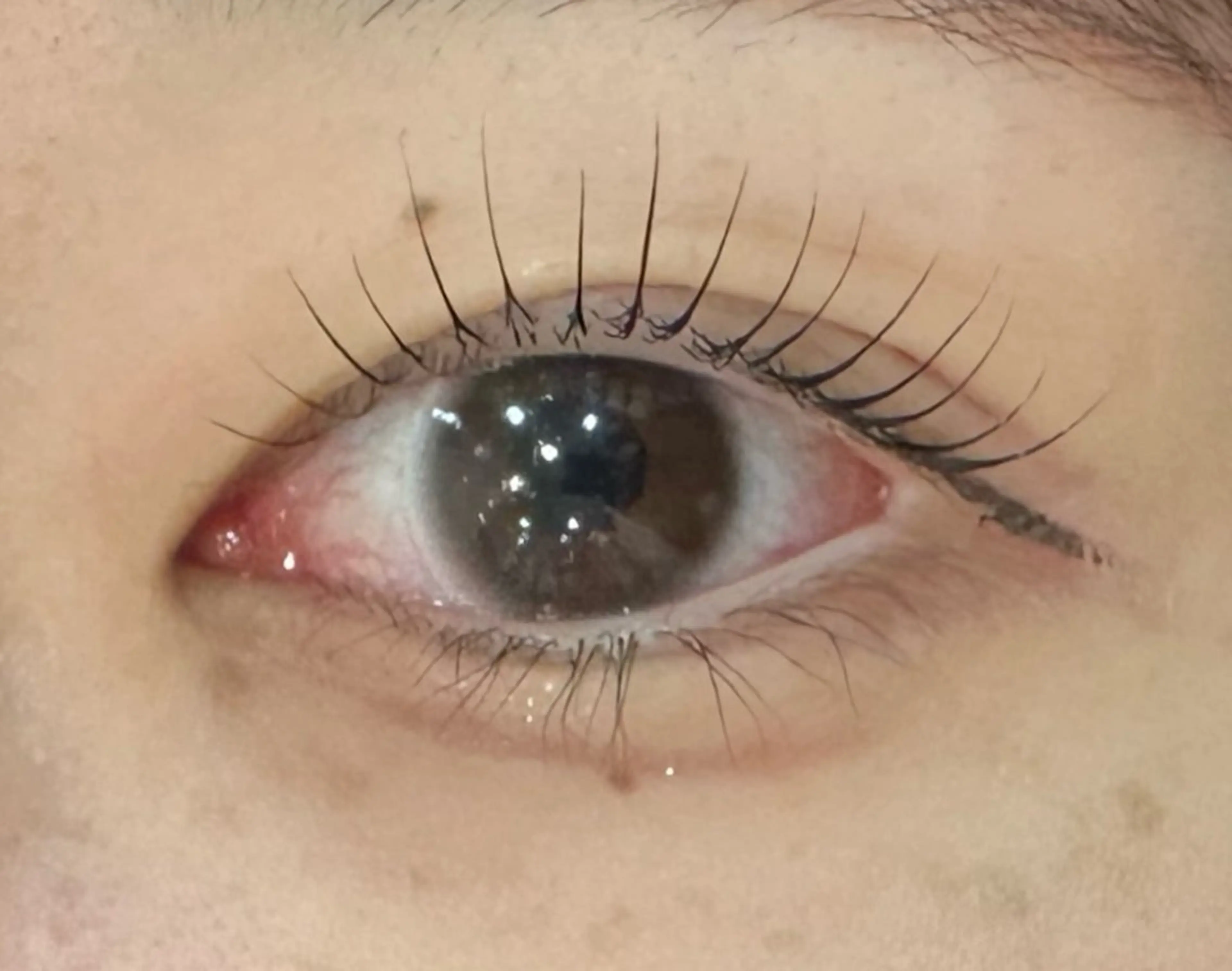 限定価格💫まつ毛パーマ束感仕上げ✨️の写真