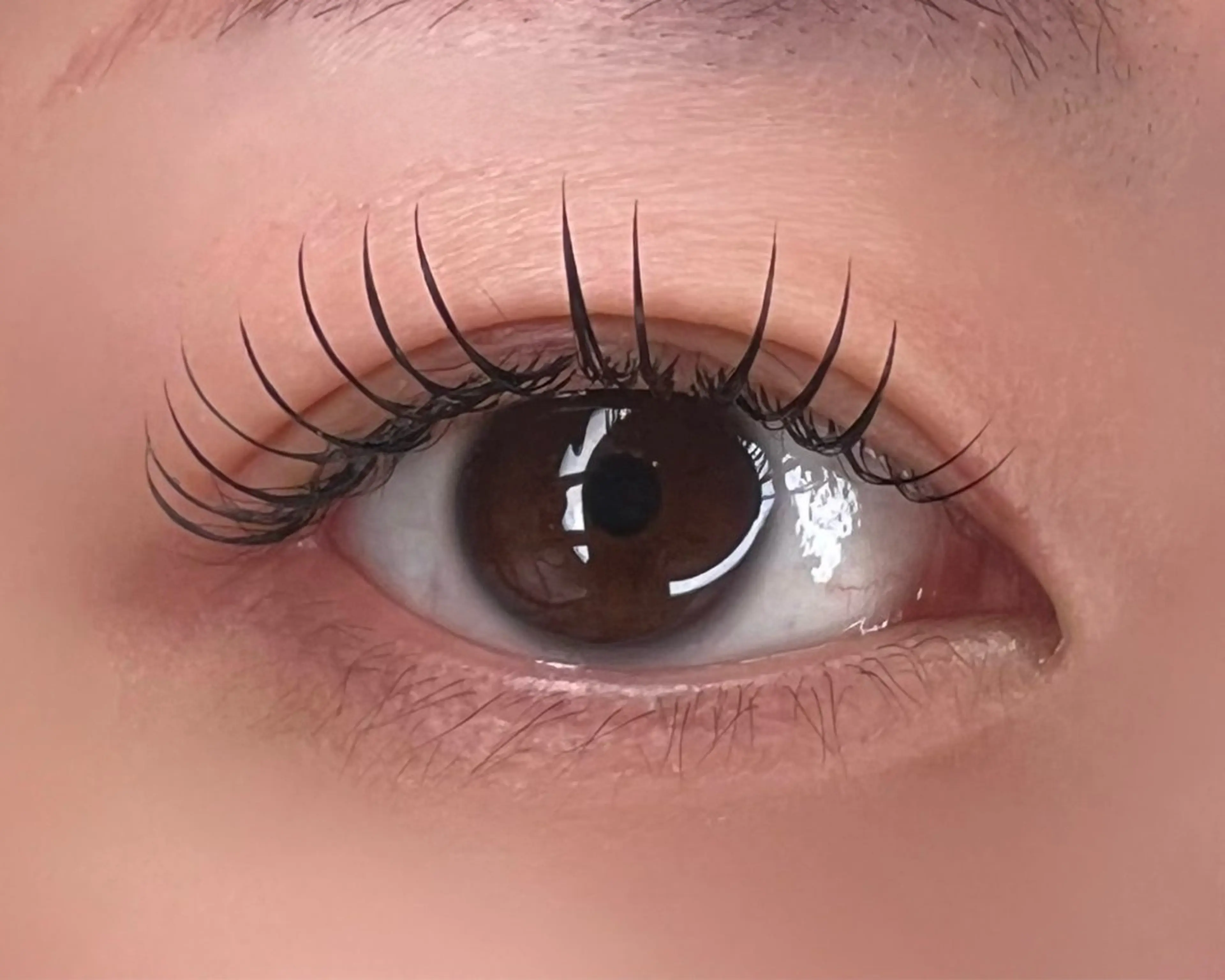 マツエク・マツパ Fameu+ HIMEKAのマツエク・マツパデザイン