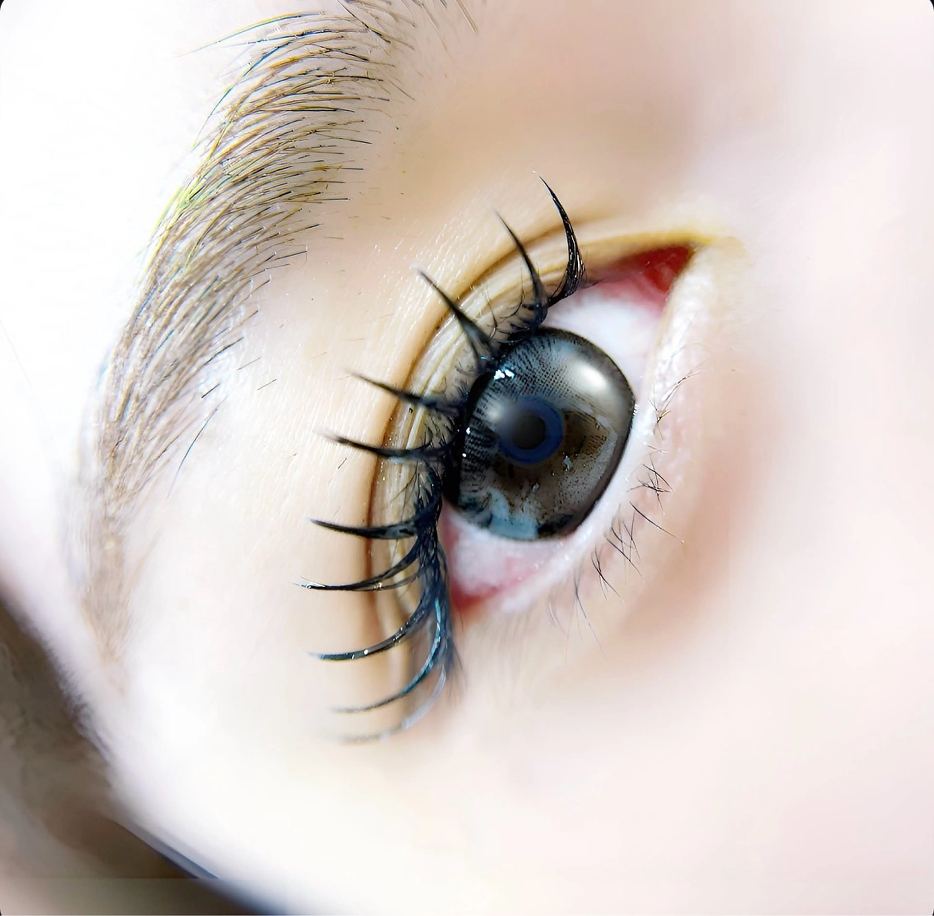 マツエク・マツパ マツエク MIGNON 冨田　当日予約のみのマツエク・マツパデザイン