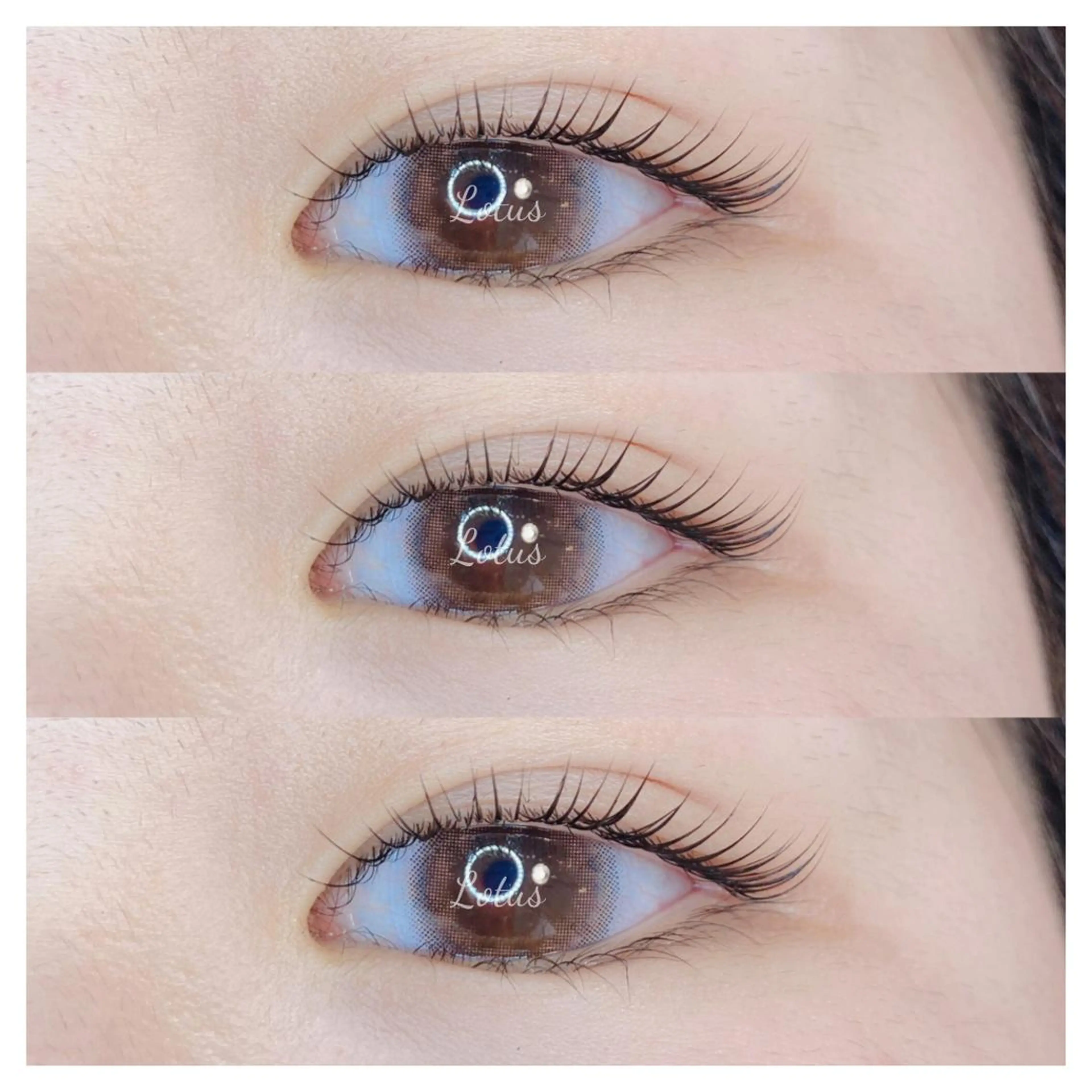 マツエク・マツパ マツパ Lotus所属・Lotus ロータスのマツエク・マツパデザイン