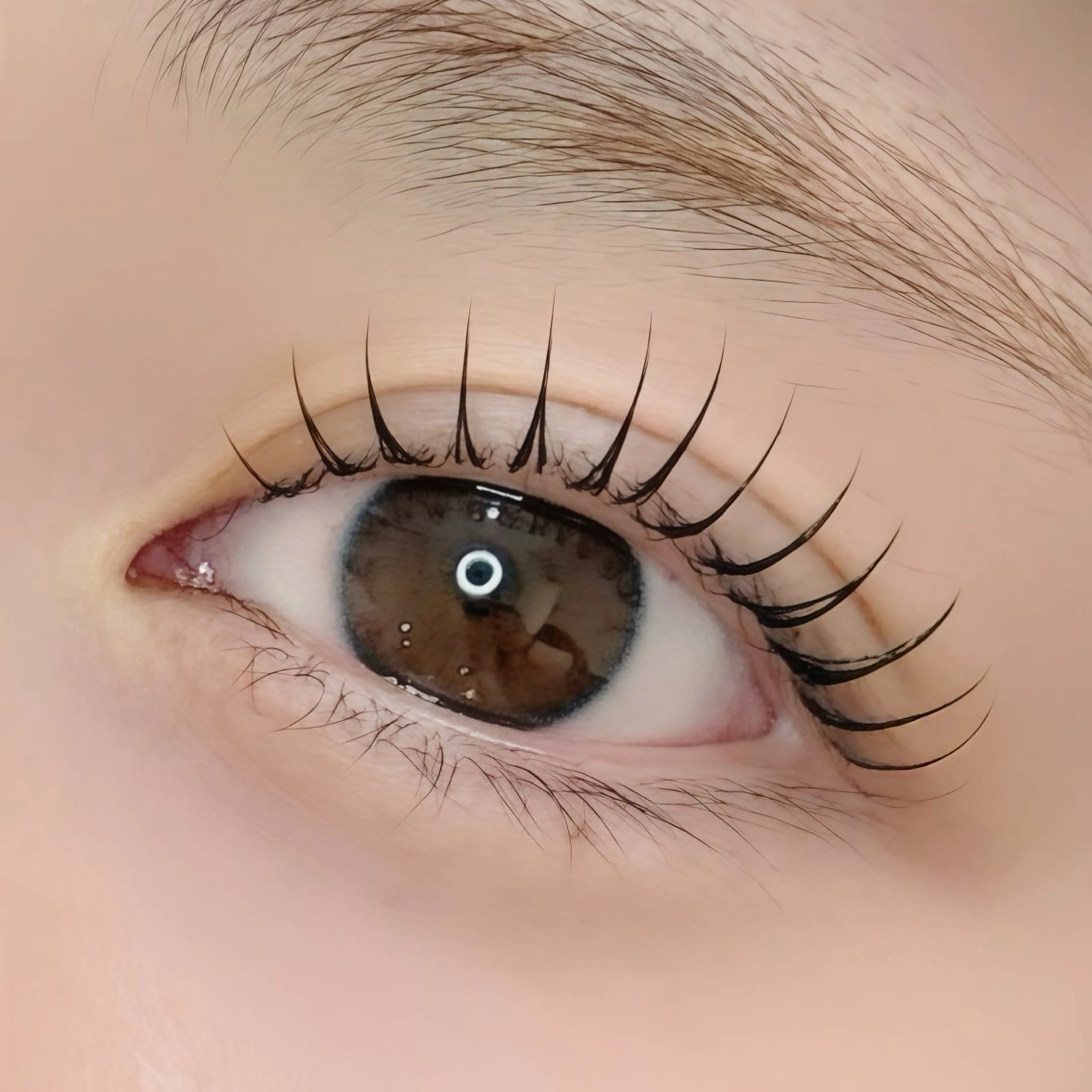 マツエク・マツパ 🤎makea秋元 🤎の眉毛・アイブロウイメージ