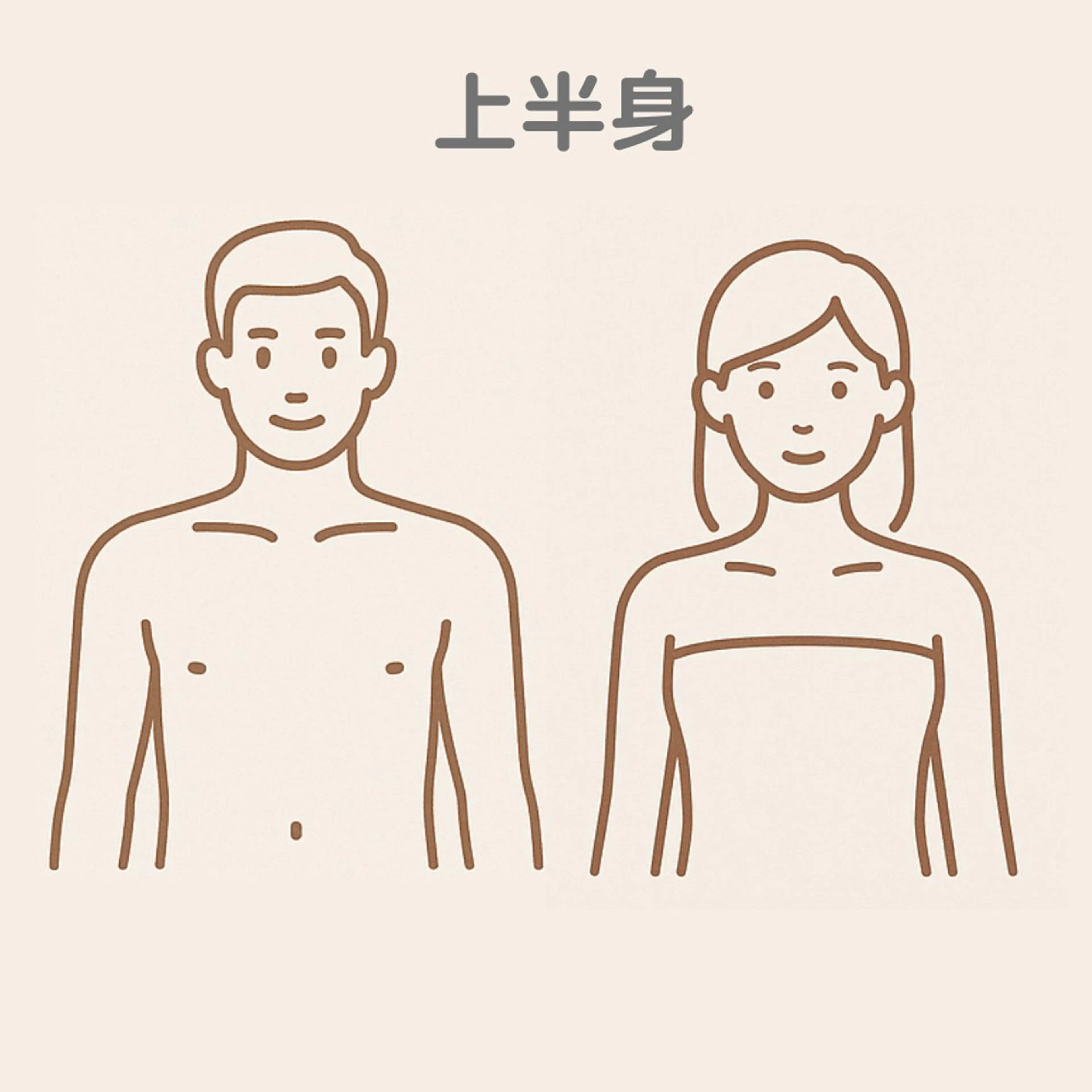 上半身脱毛(胸、お腹、脇、腕、背中、腰を全て施術)の写真