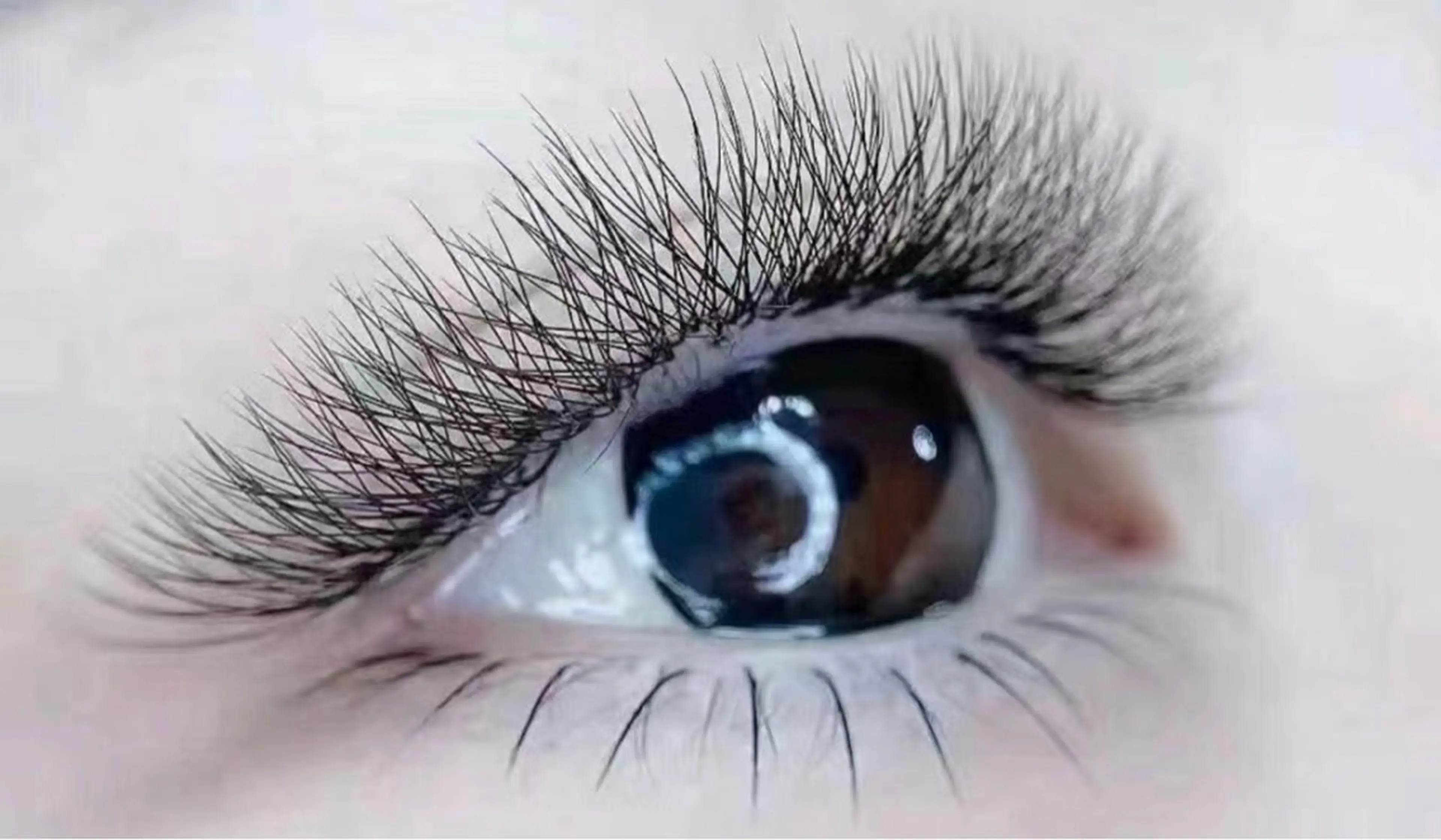 4Dボリュ一ムラッ シュ140-160束(560本-640本) 【オフあり➕20分钟】の写真