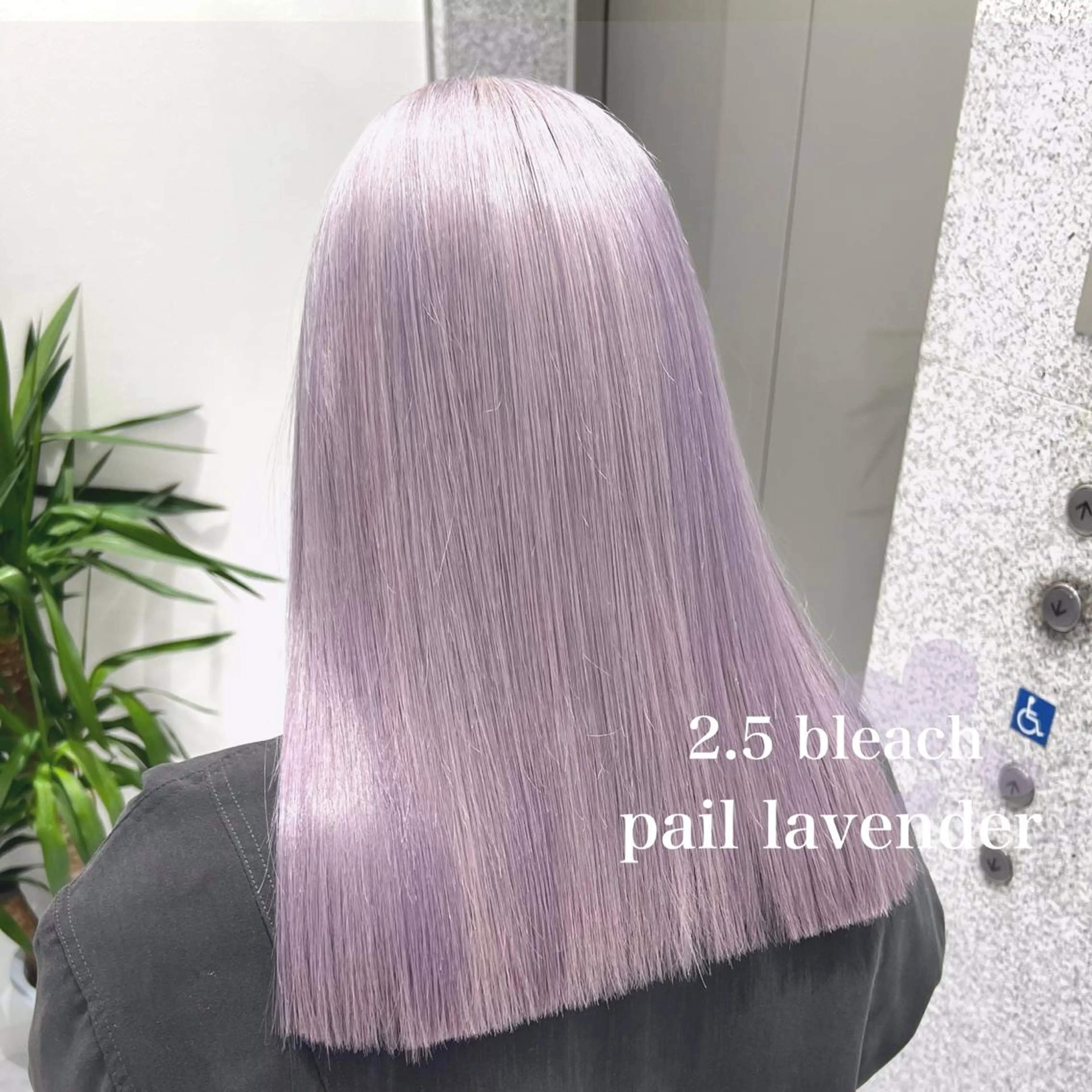 ミディアム カラー ヘアカラー ♡上品韓国髪♡ブラ ウン/SAYATOのヘアスタイル